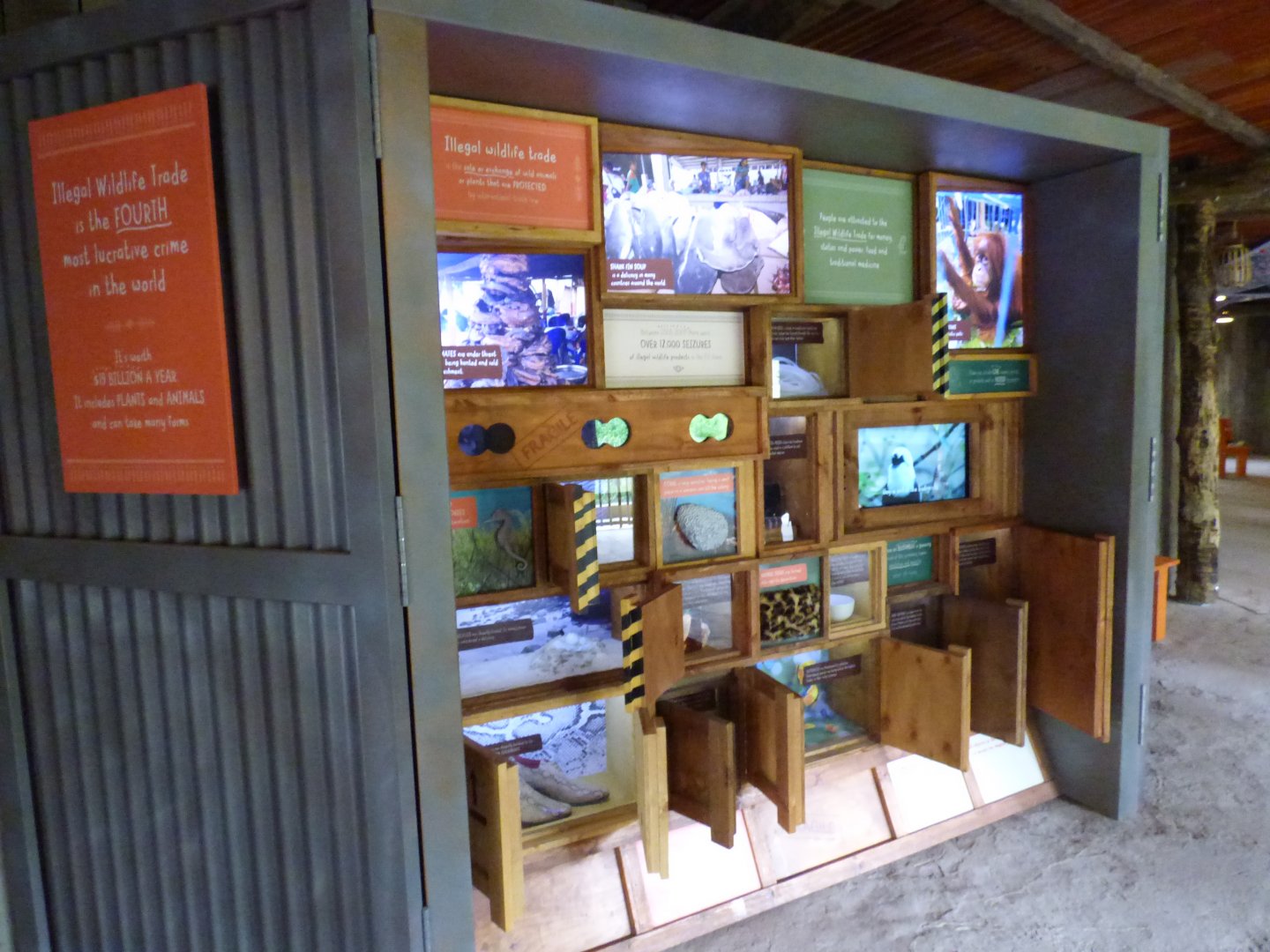 Wildlife trade educational draws