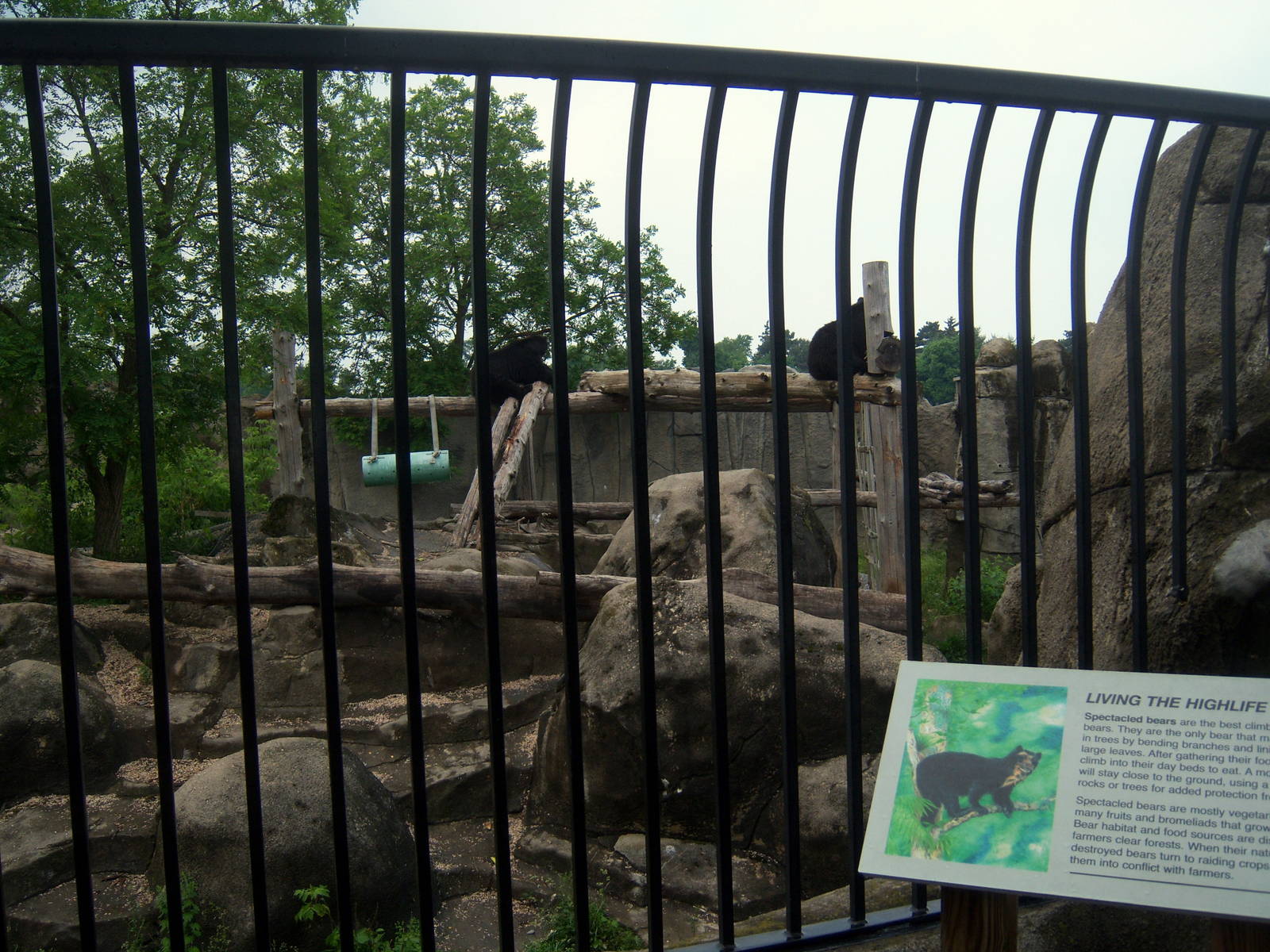 Wildlife Trails - Spectacled Bear Exhibit