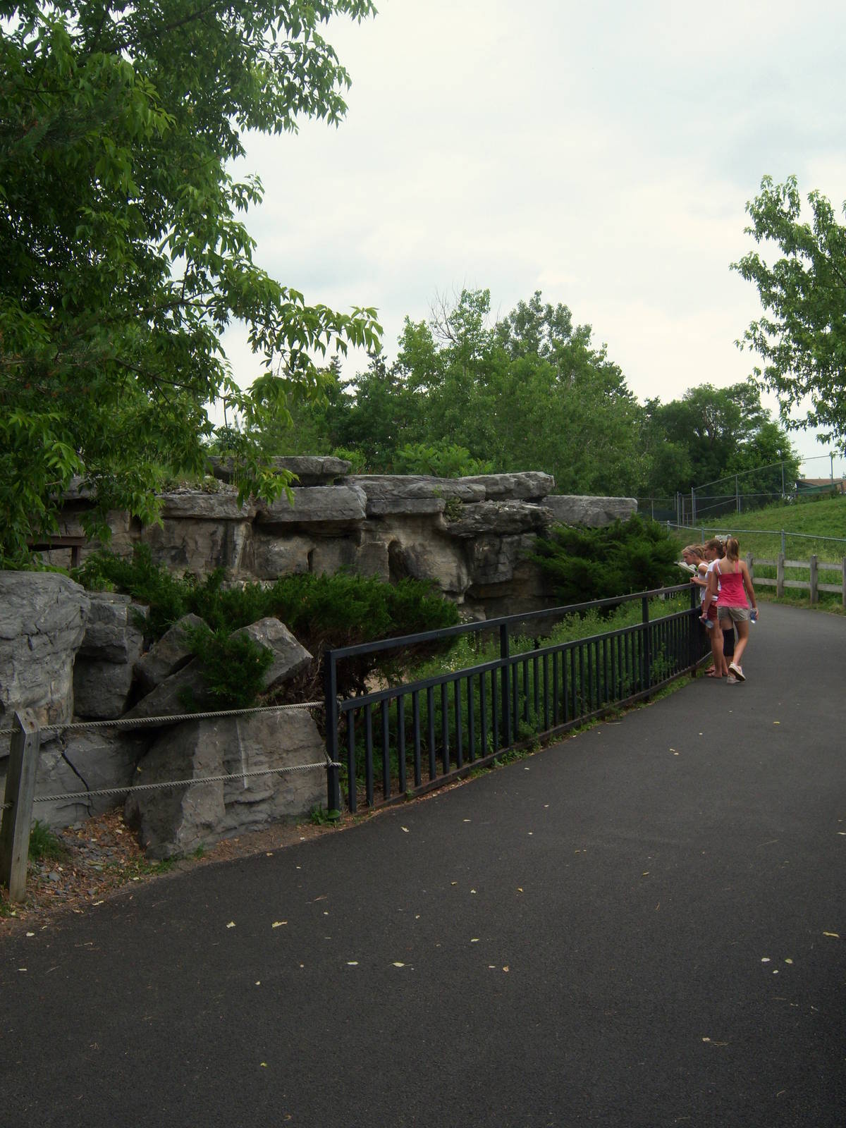 Wildlife Trails - White-lipped Peccary Exhibit