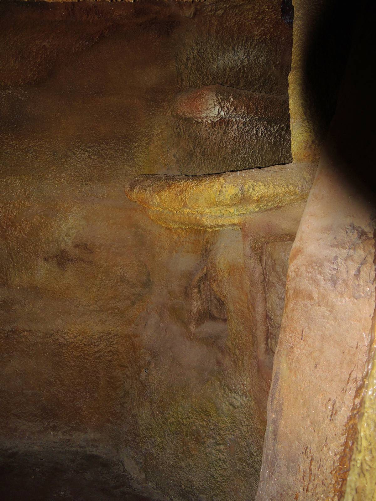 Wildlife Trek - Life in the Forest - Empty Cave Exhibit