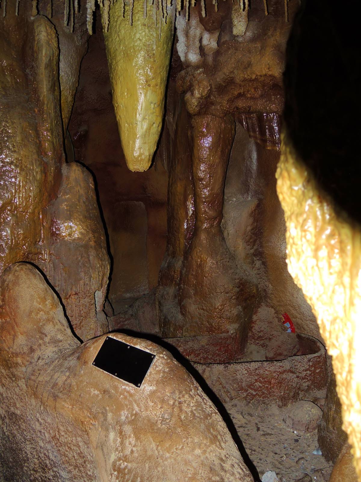 Wildlife Trek - Life in the Forest