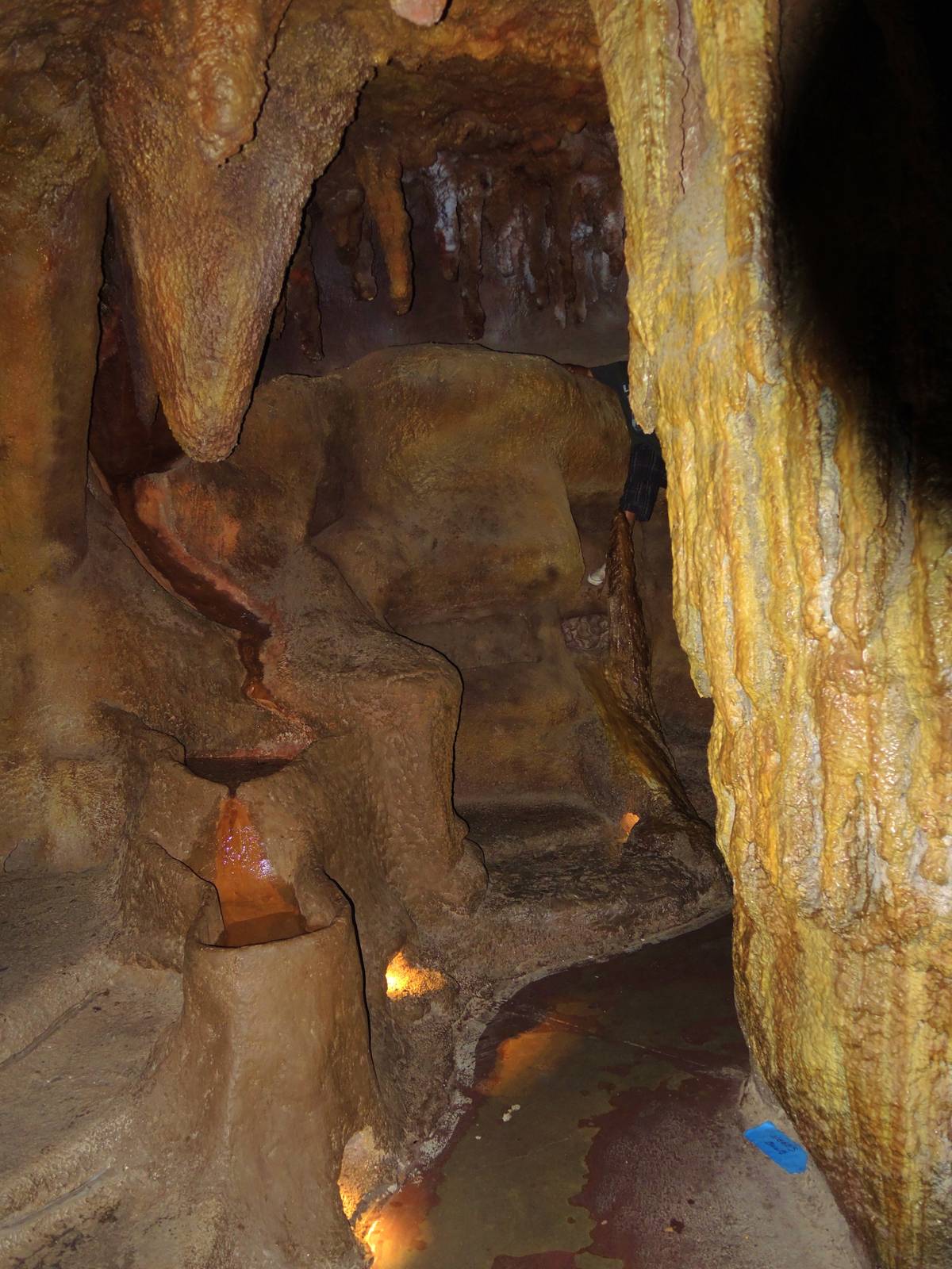 Wildlife Trek - Life in the Forest