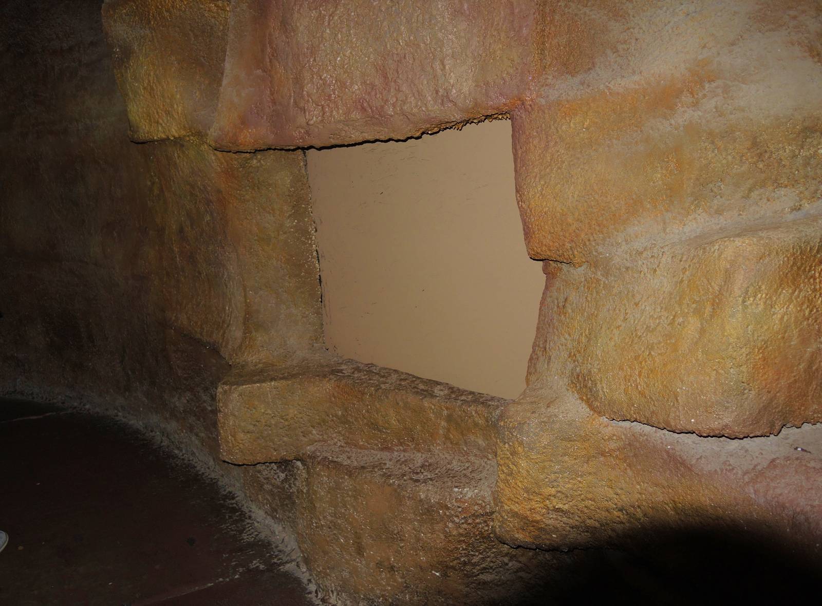 Wildlife Trek - Life in the Forest