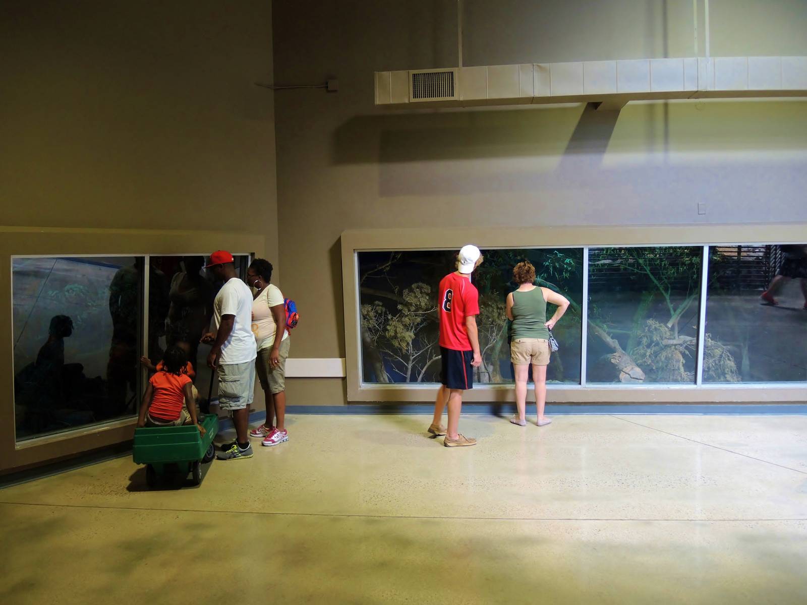 Wildlife Trek - Life in the Forest