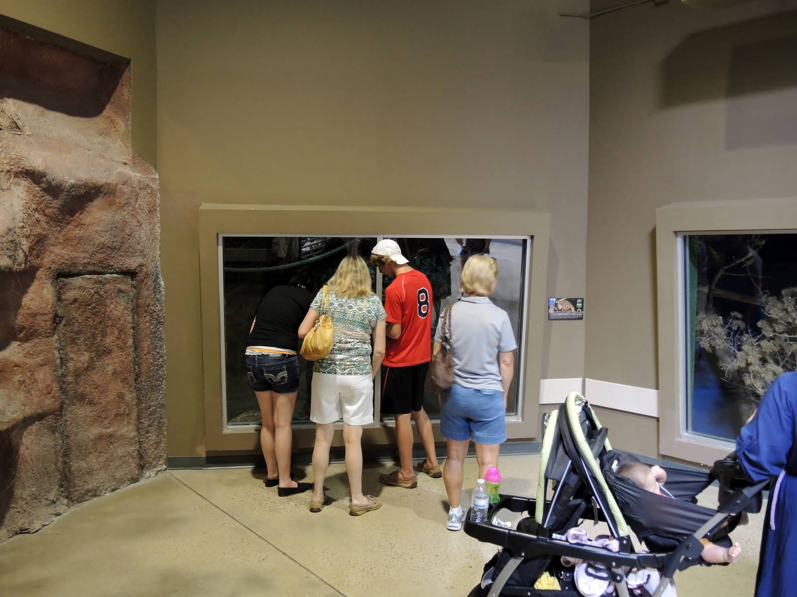 Wildlife Trek - Life in the Forest