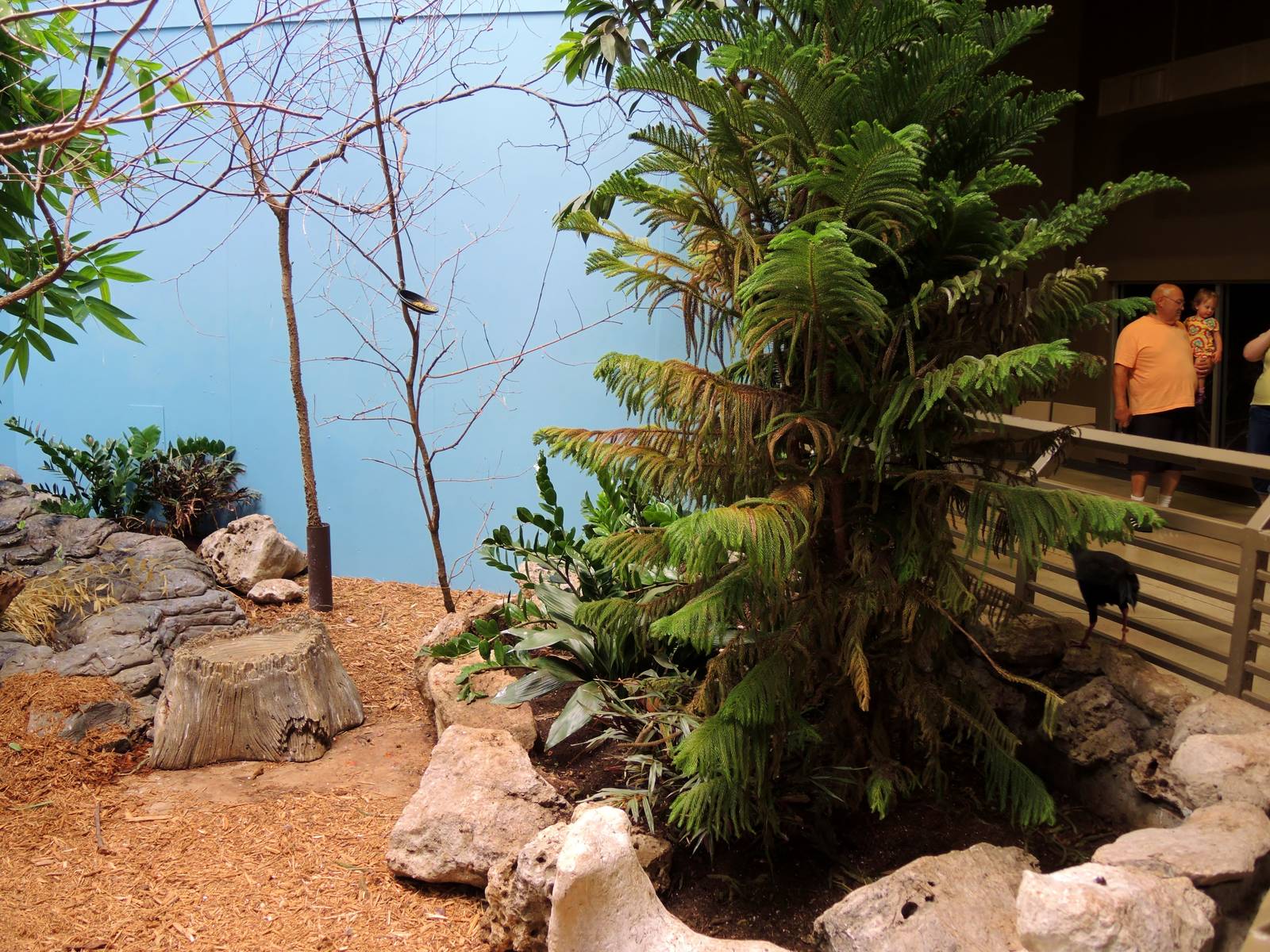 Wildlife Trek - Life in the Forest