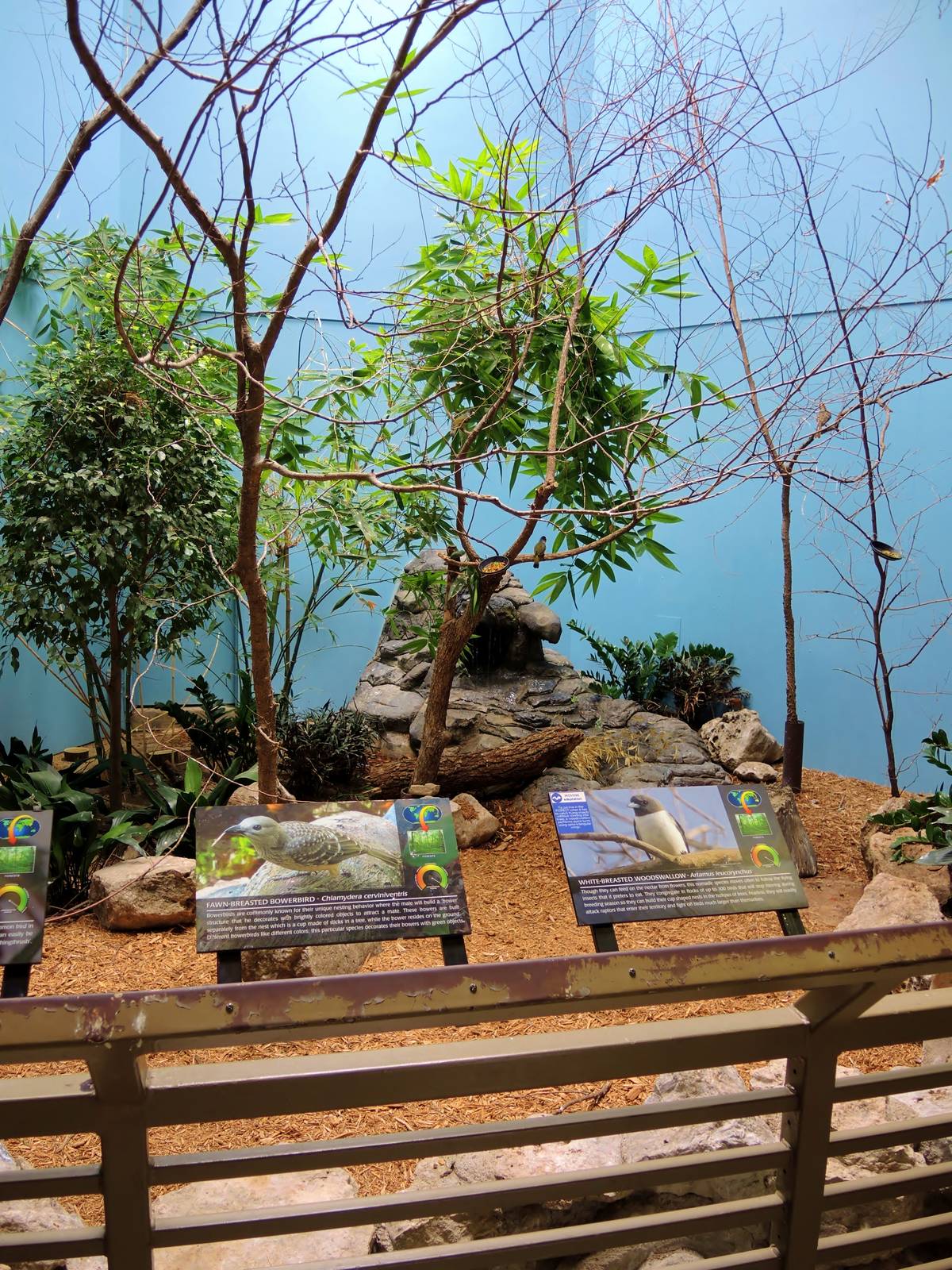 Wildlife Trek - Life in the Forest