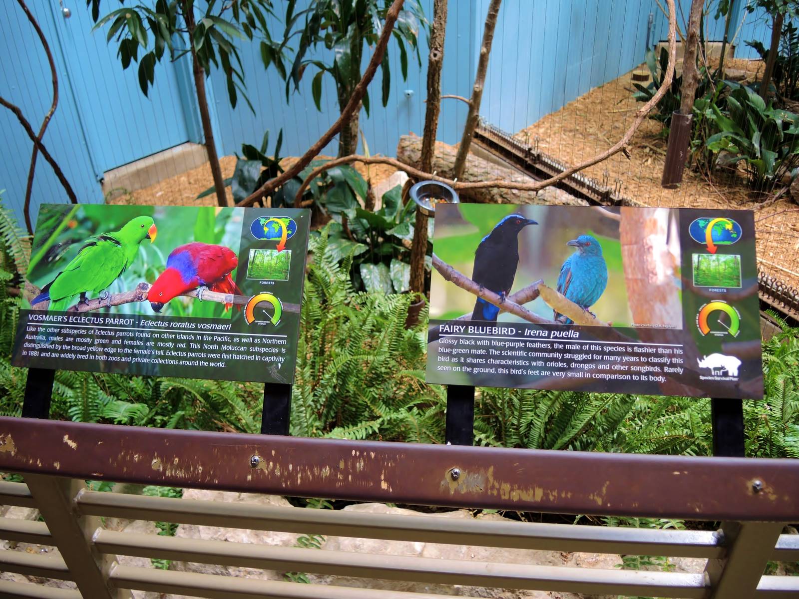 Wildlife Trek - Life in the Forest