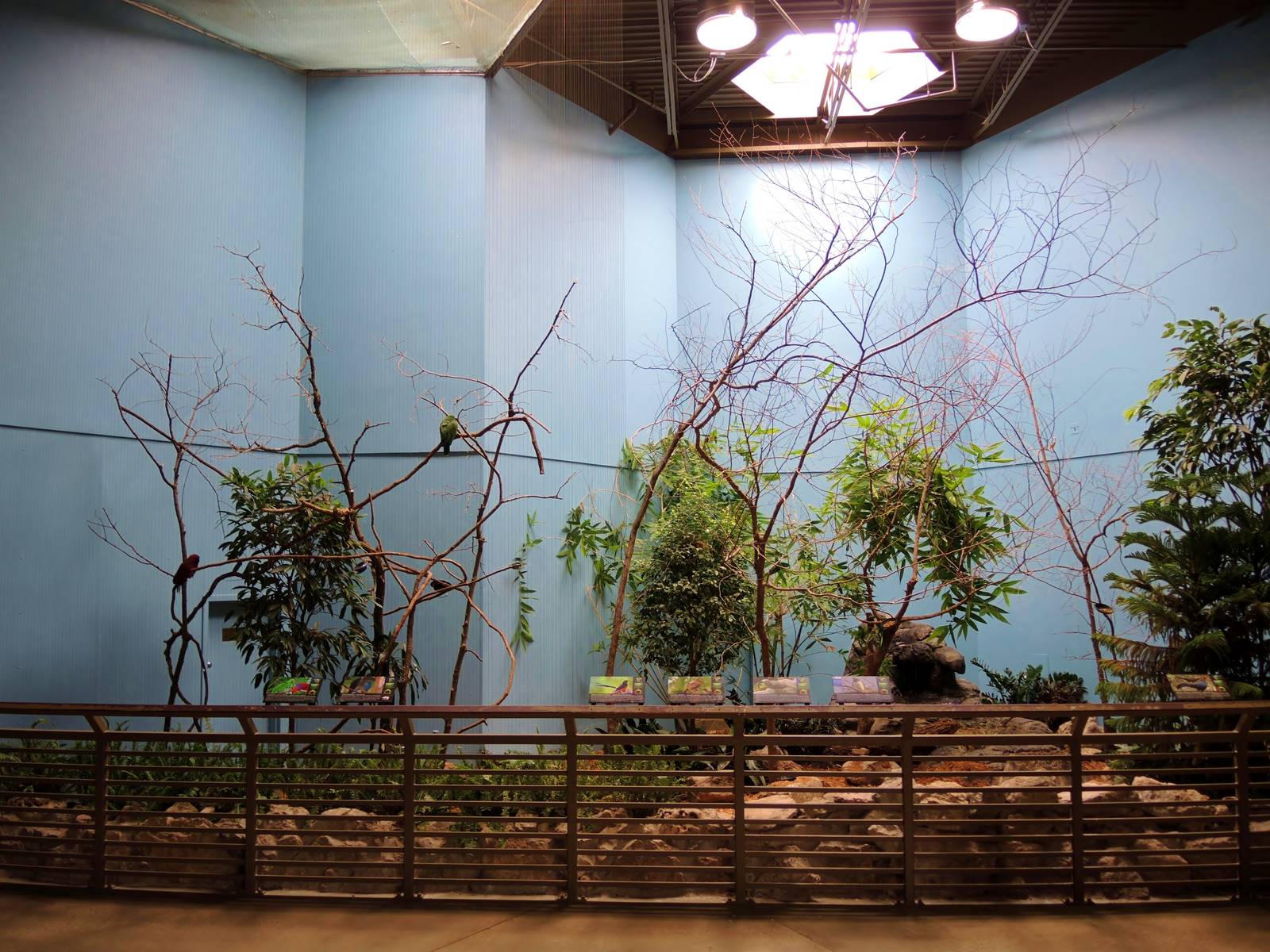 Wildlife Trek - Life in the Forest