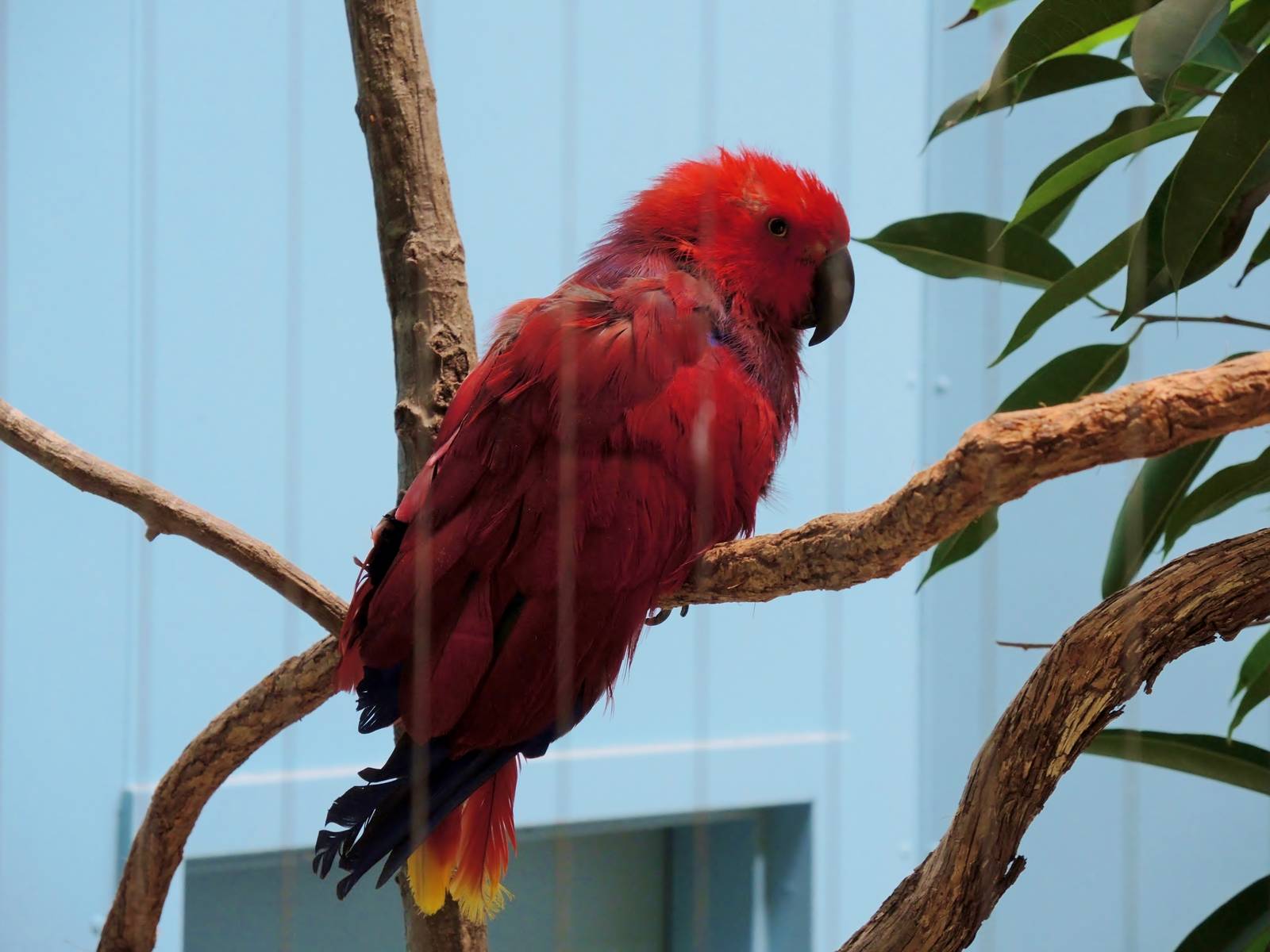Wildlife Trek - Life in the Forest