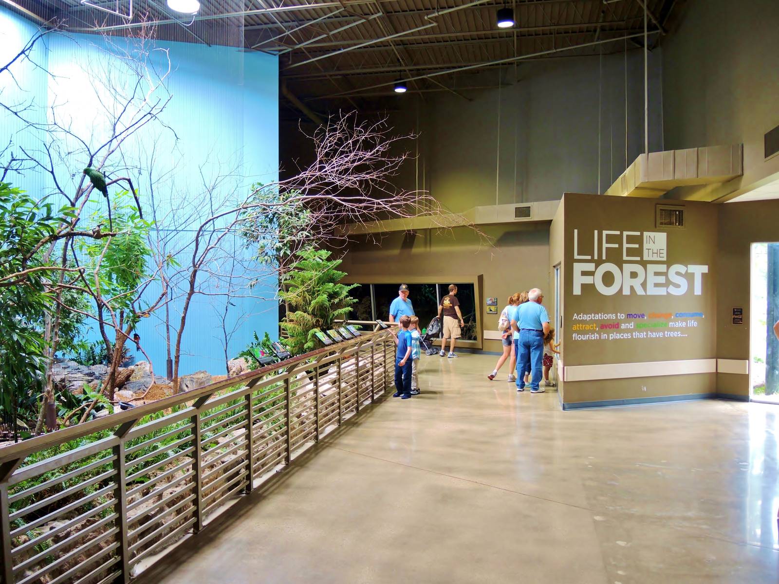 Wildlife Trek - Life in the Forest