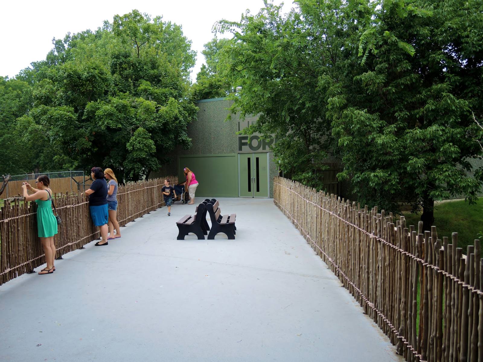 Wildlife Trek - Life in the Forest