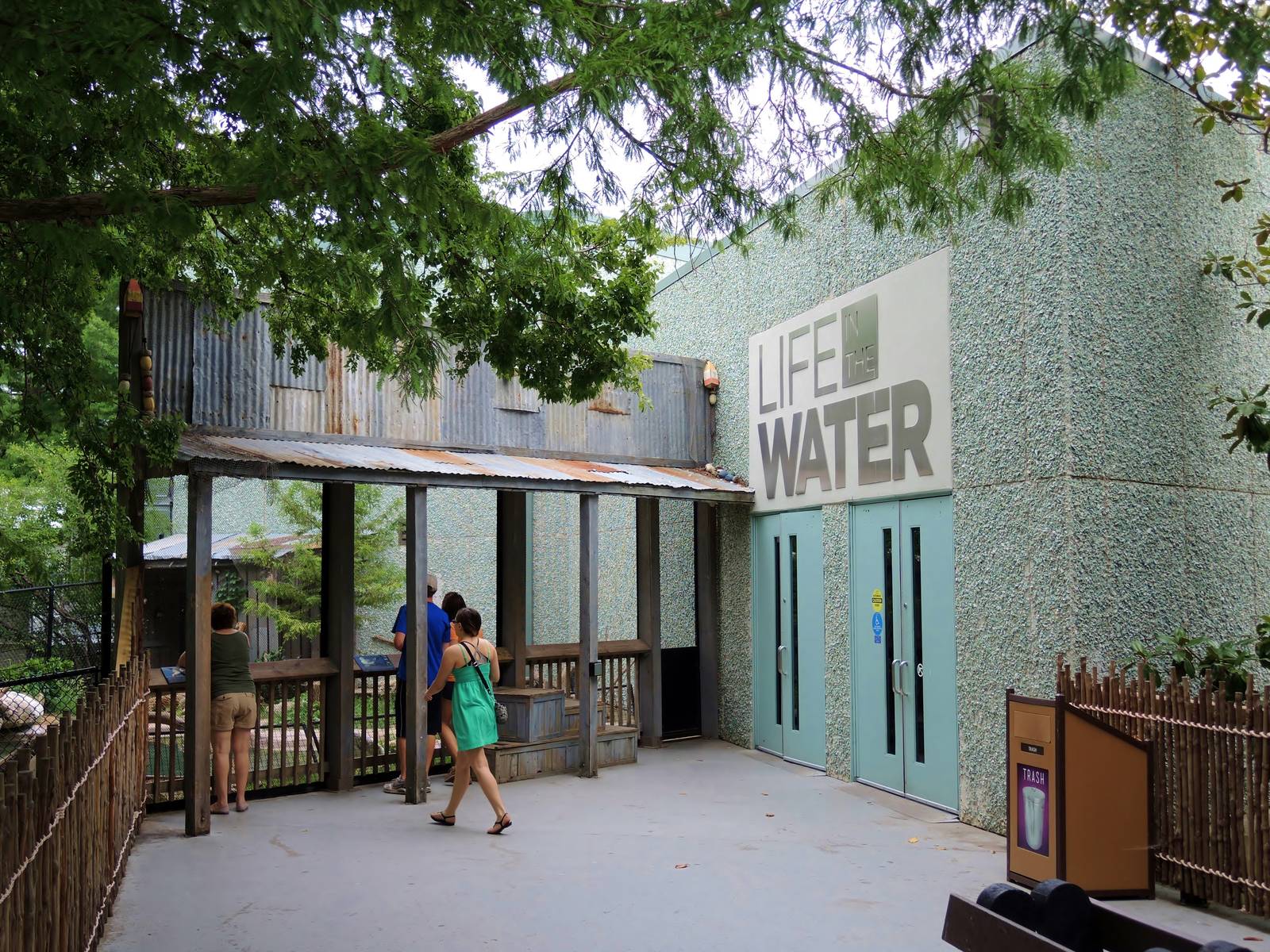 Wildlife Trek - Life in the Water