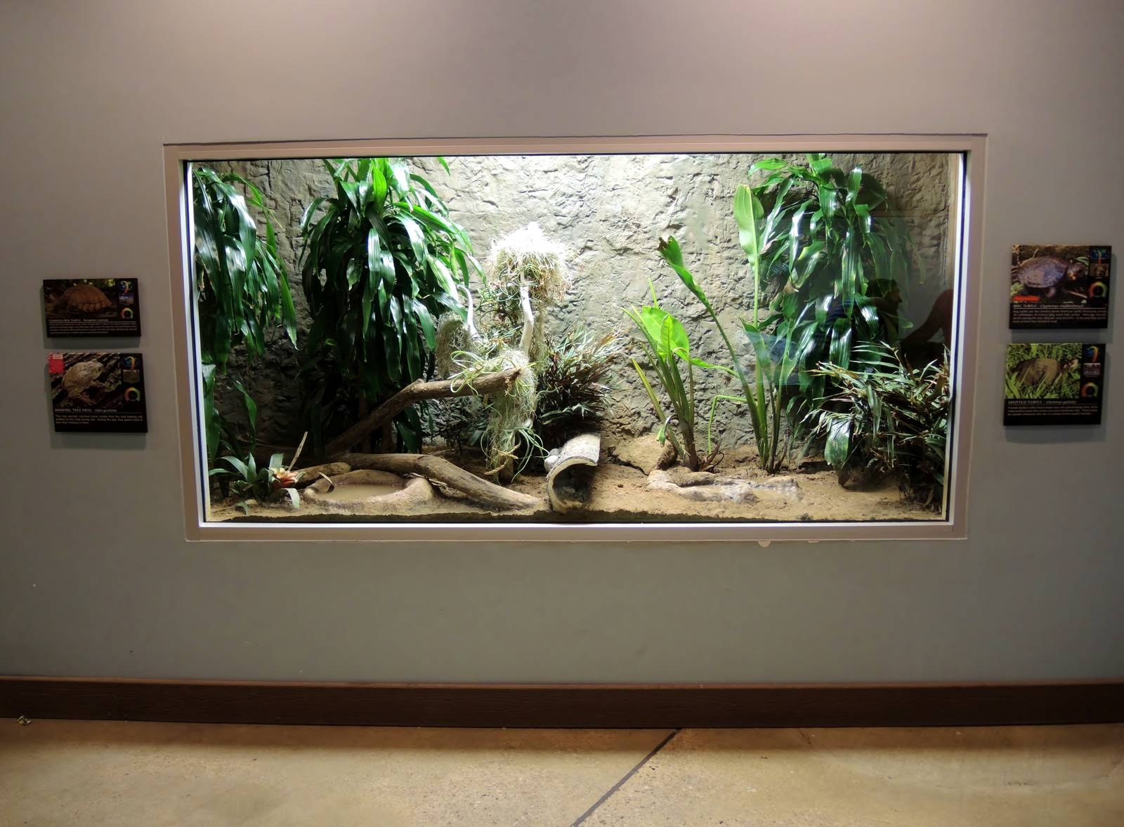 Wildlife Trek - Life in the Water