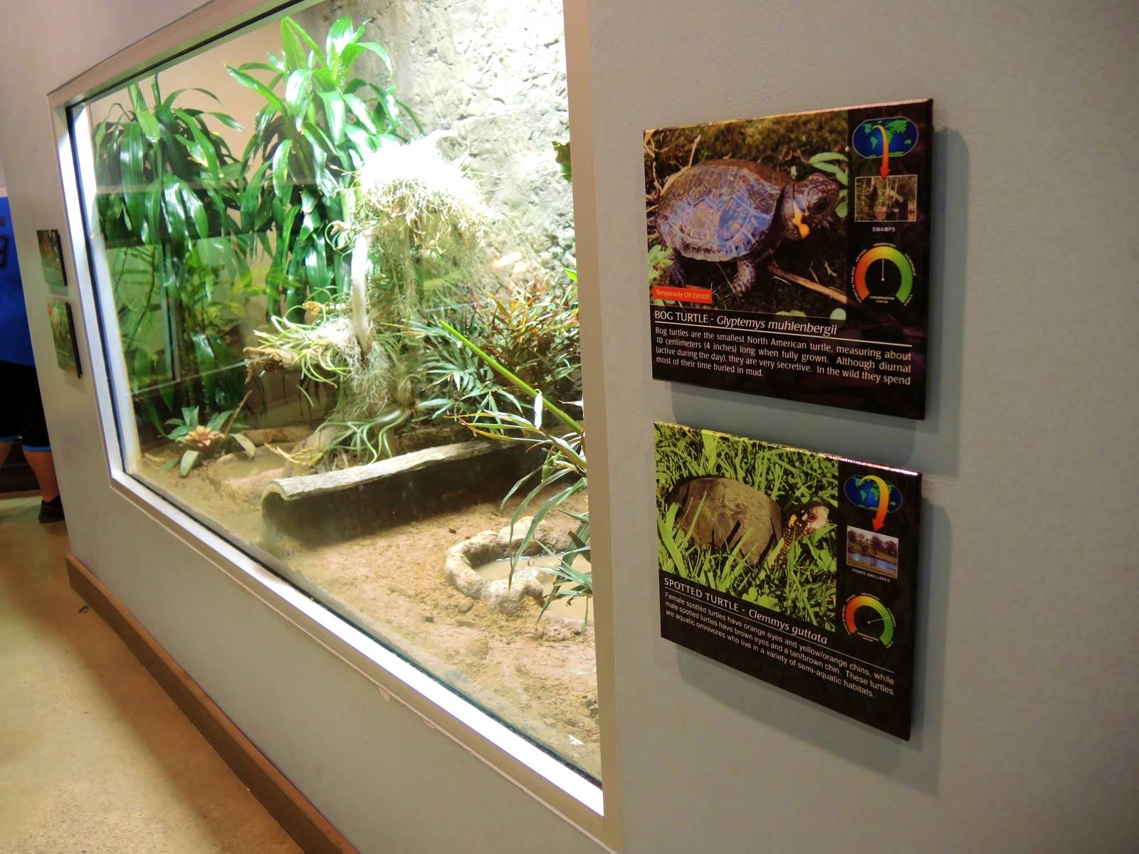 Wildlife Trek - Life in the Water