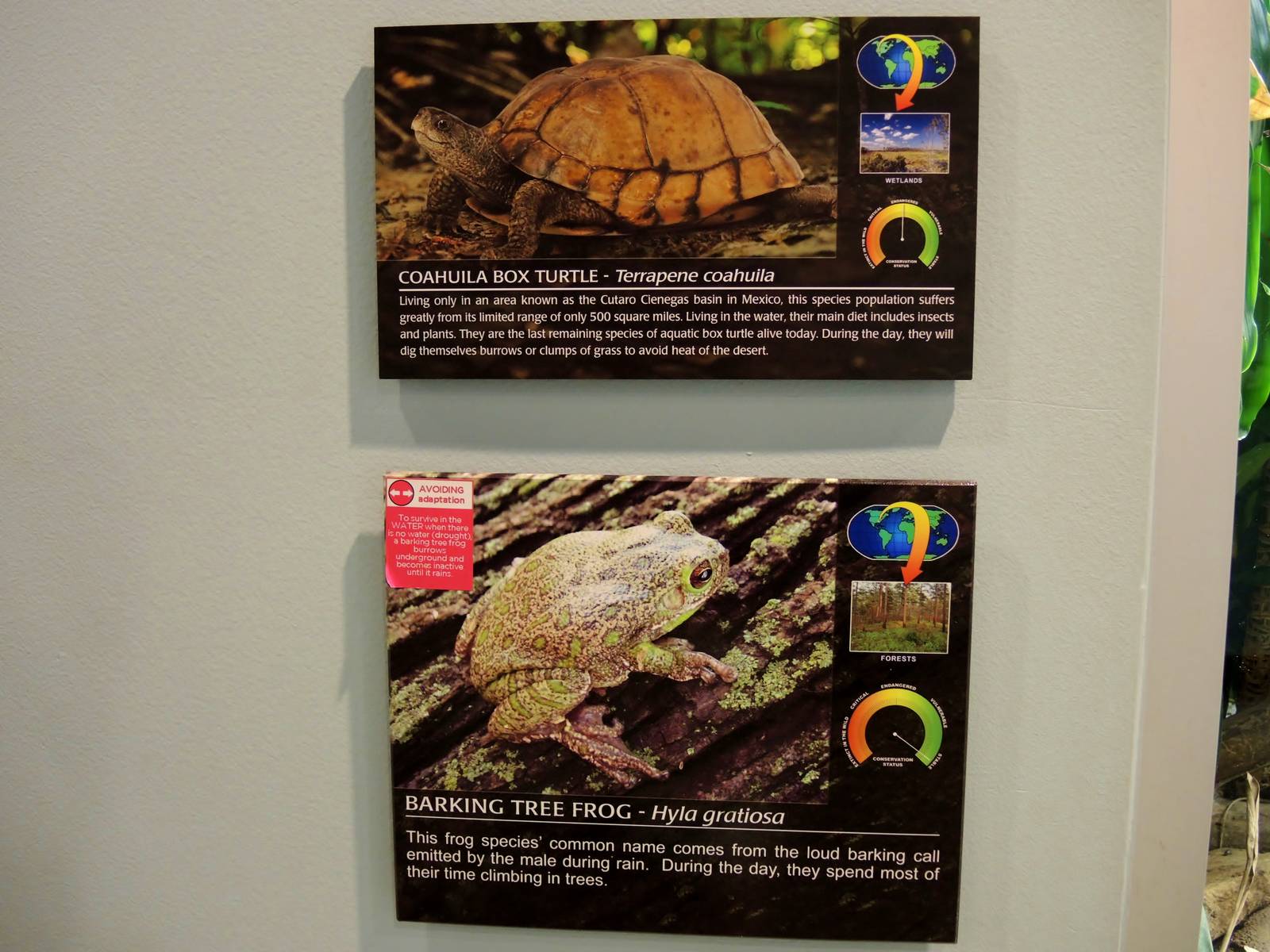 Wildlife Trek - Life in the Water