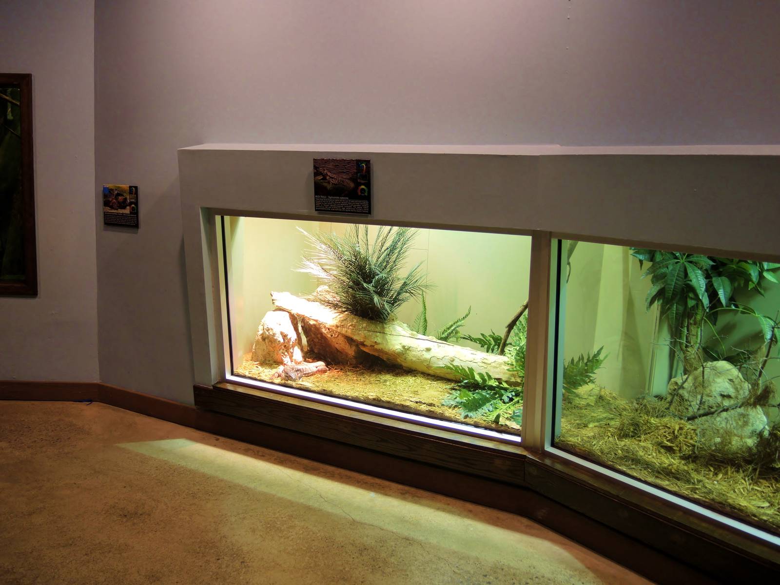 Wildlife Trek - Life in the Water