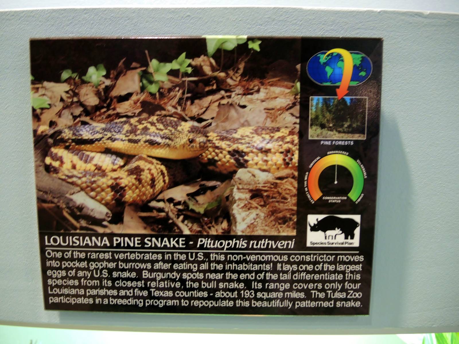 Wildlife Trek - Life in the Water