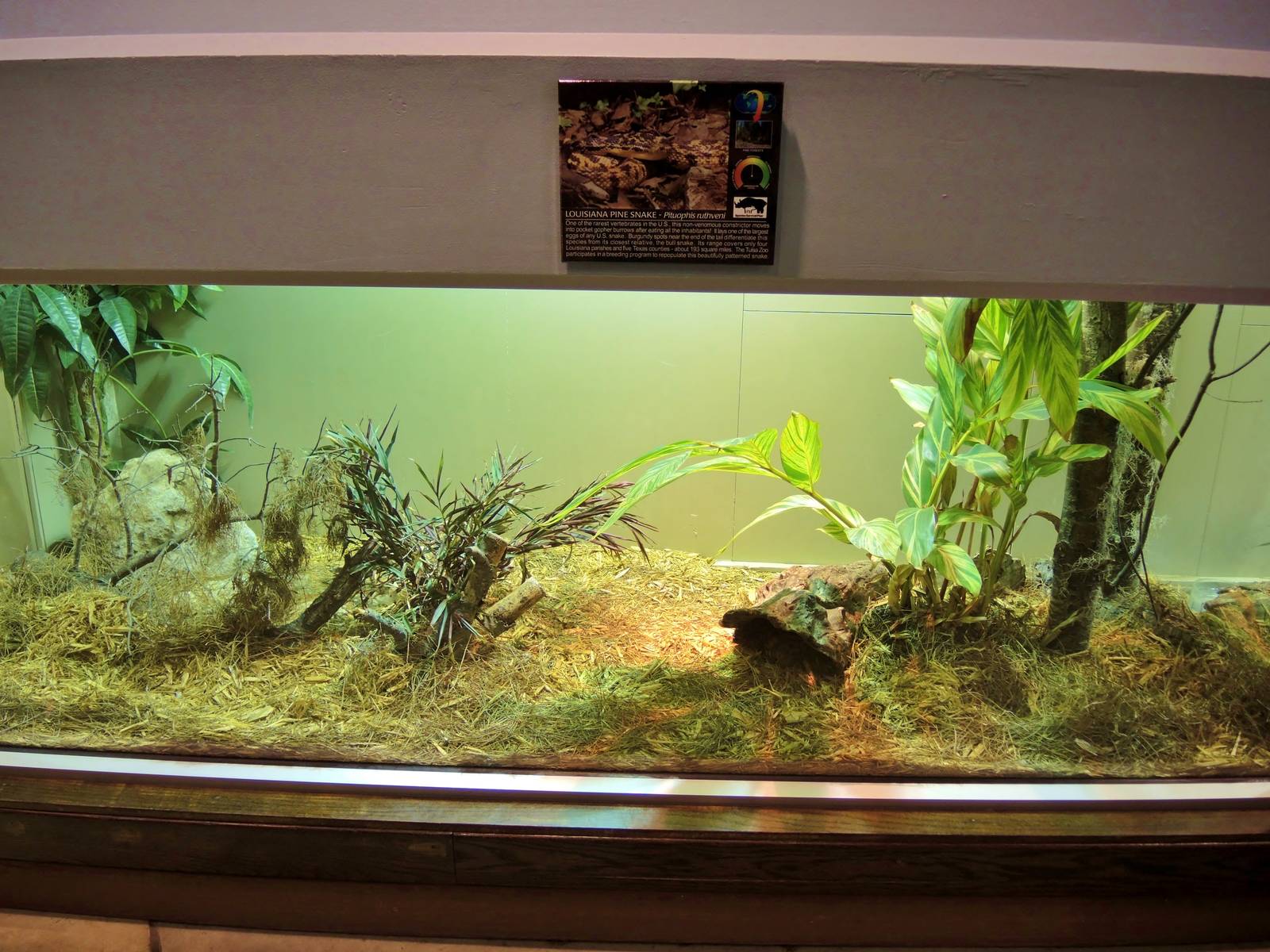 Wildlife Trek - Life in the Water