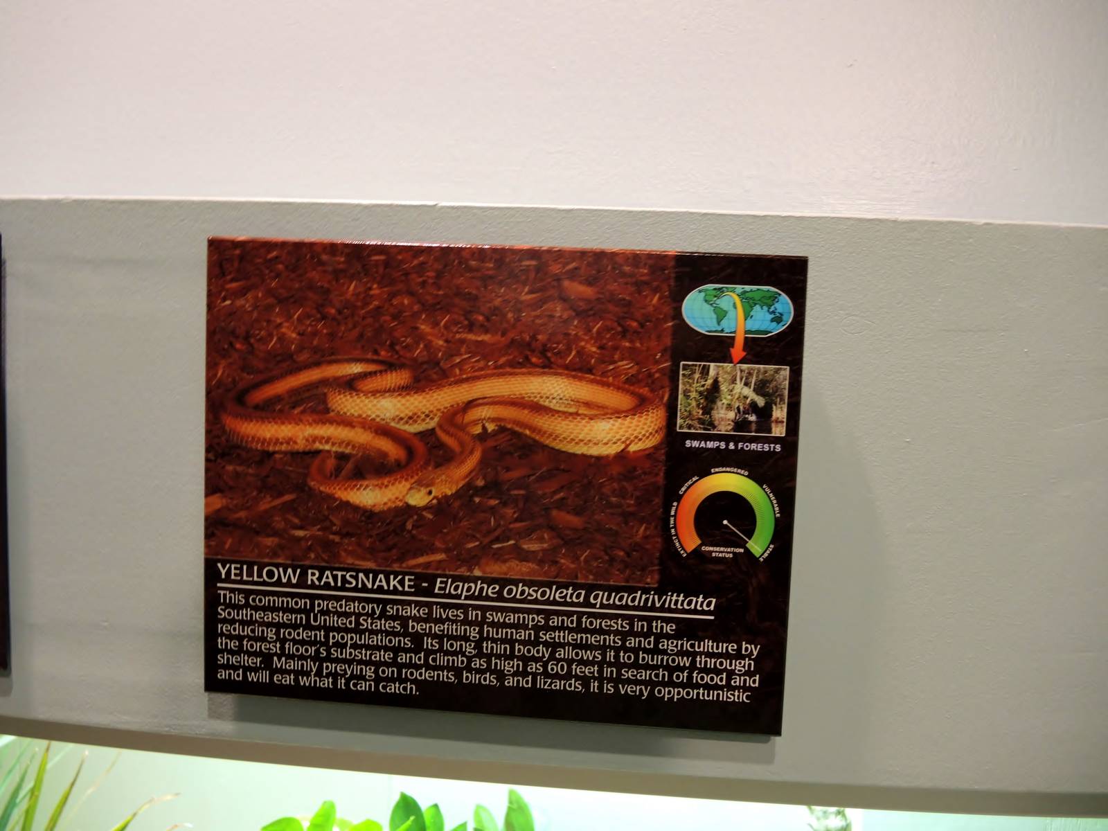 Wildlife Trek - Life in the Water