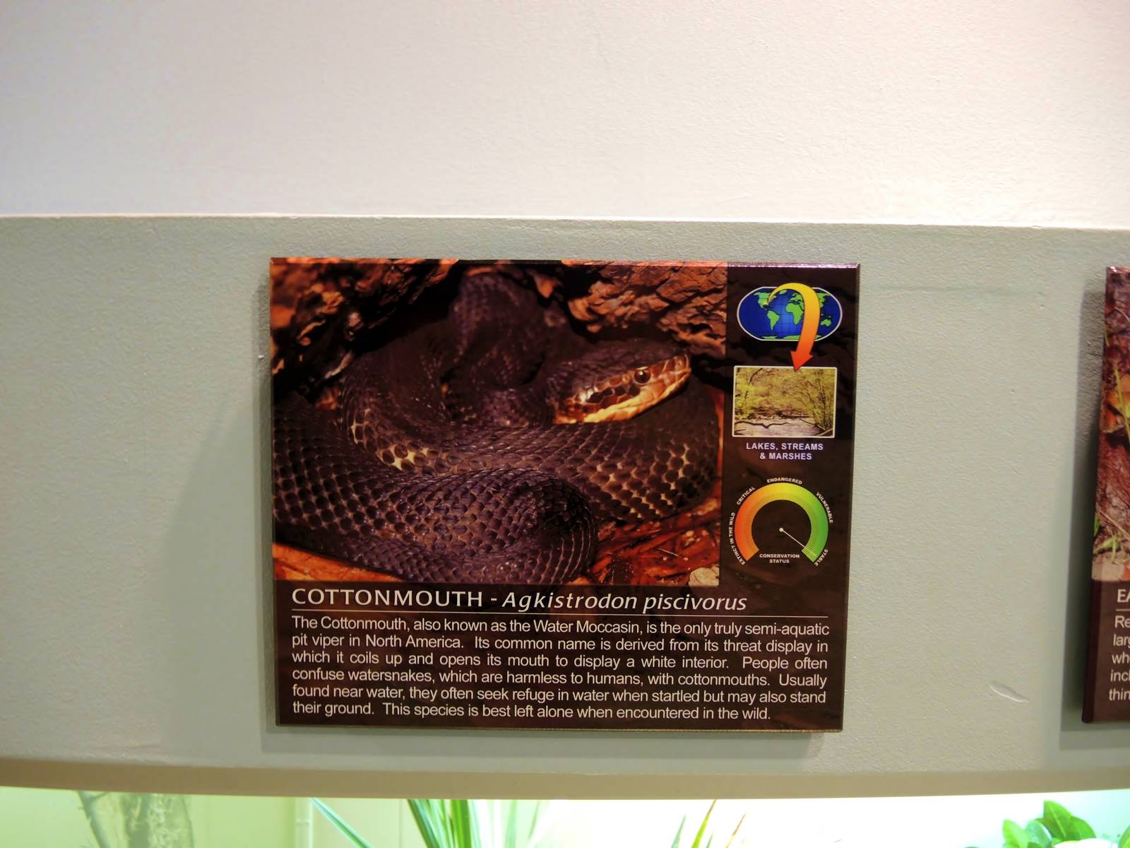 Wildlife Trek - Life in the Water