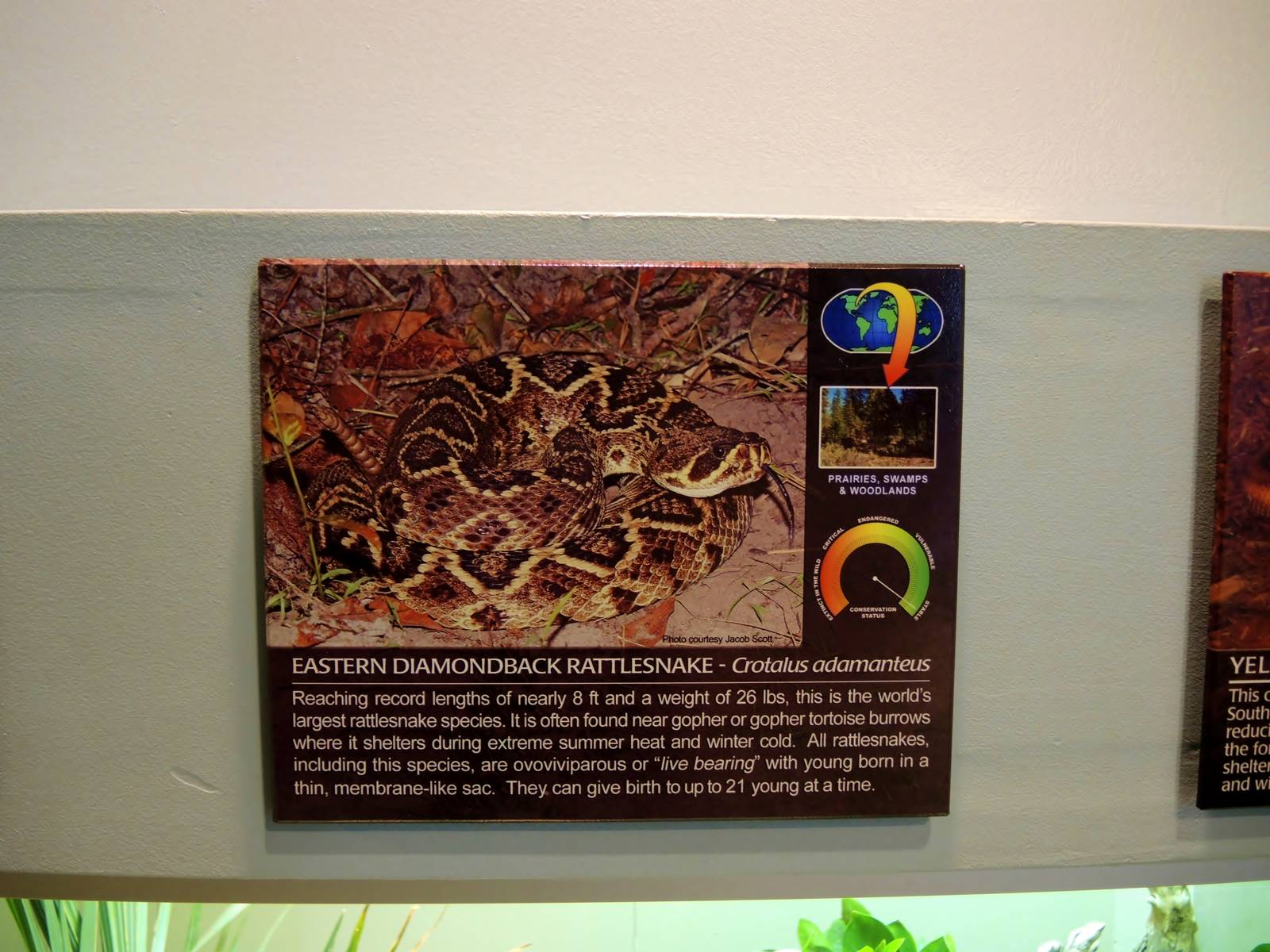 Wildlife Trek - Life in the Water