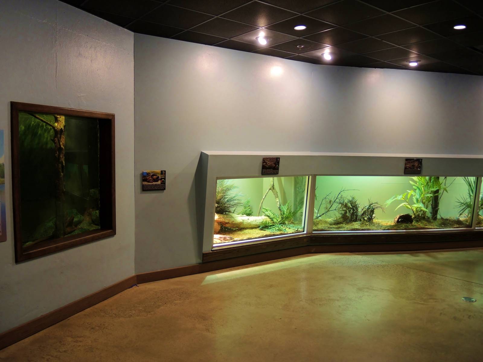 Wildlife Trek - Life in the Water