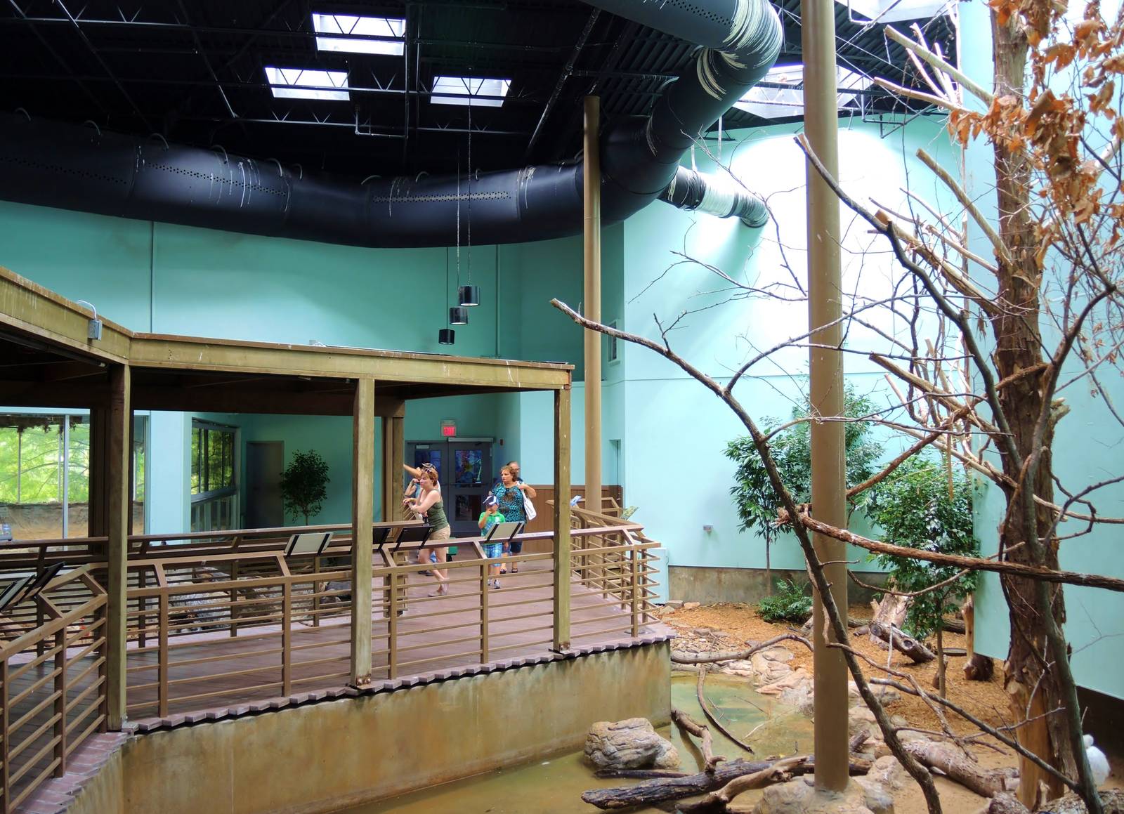 Wildlife Trek - Life in the Water