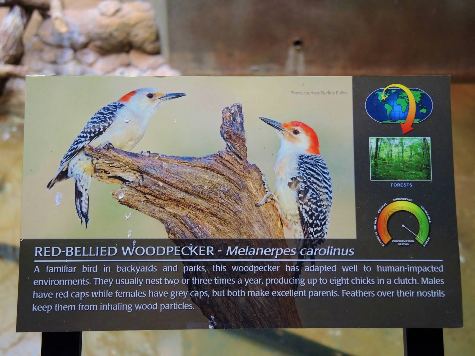 Wildlife Trek - Life in the Water