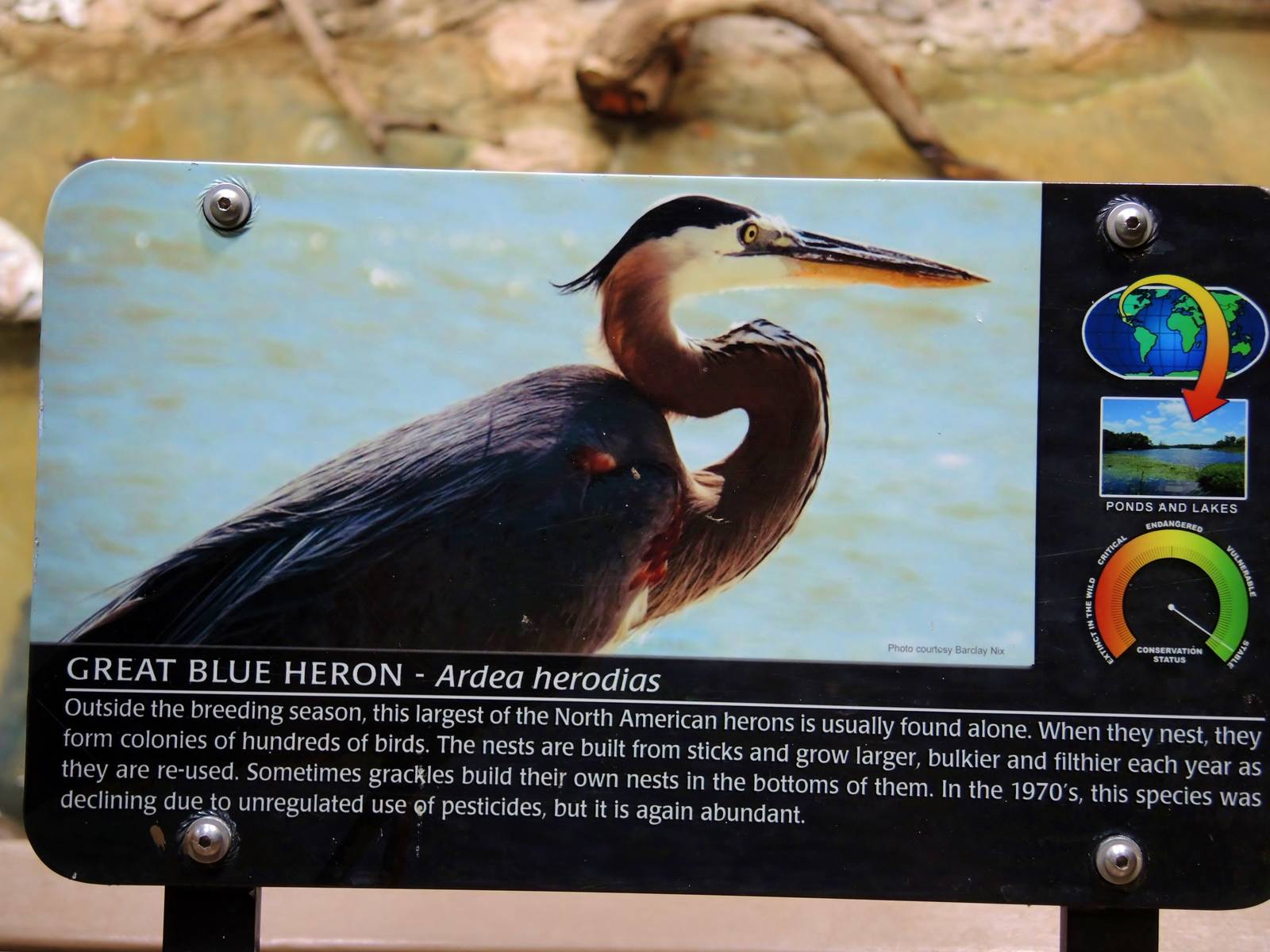 Wildlife Trek - Life in the Water