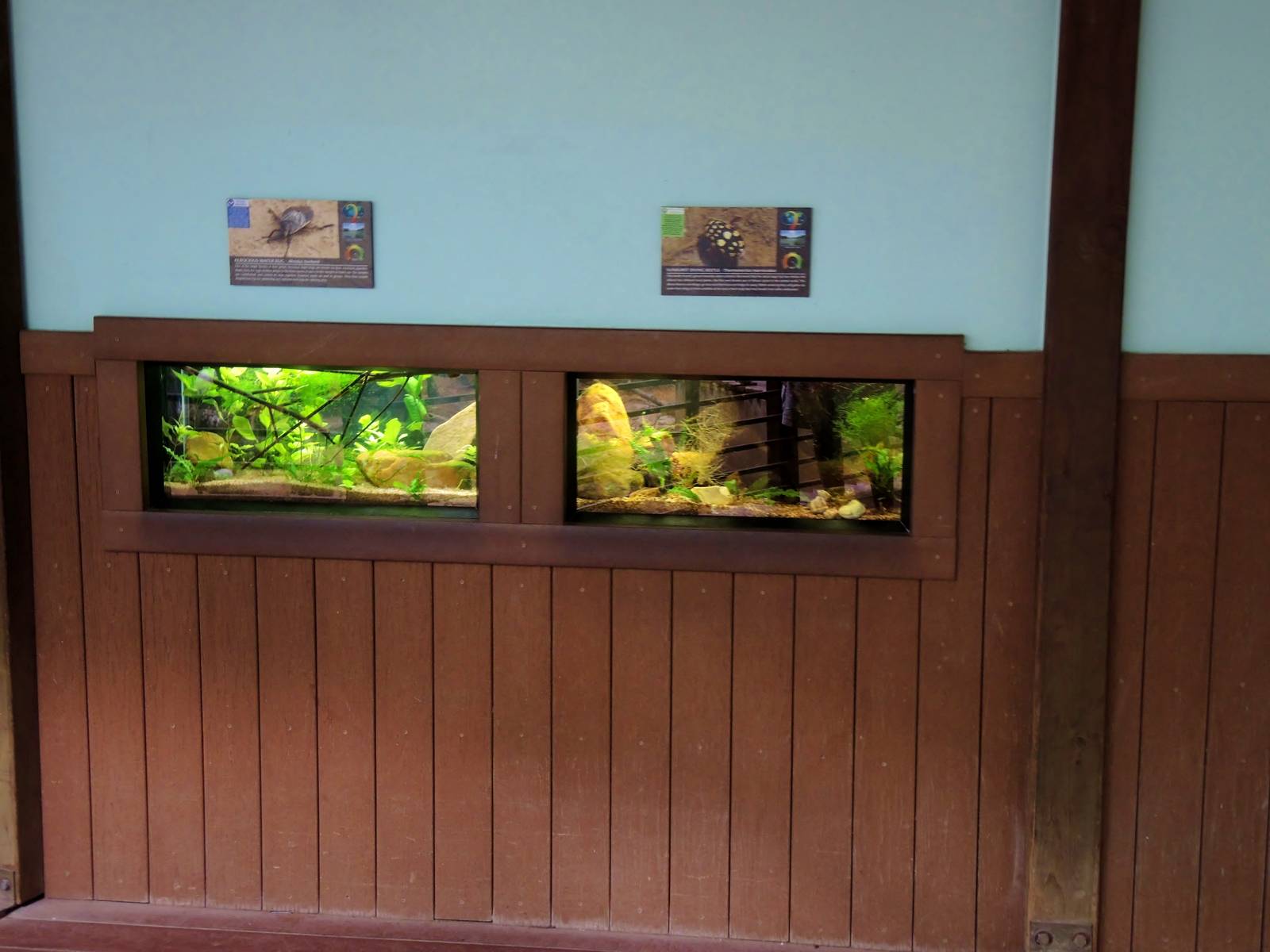 Wildlife Trek - Life in the Water