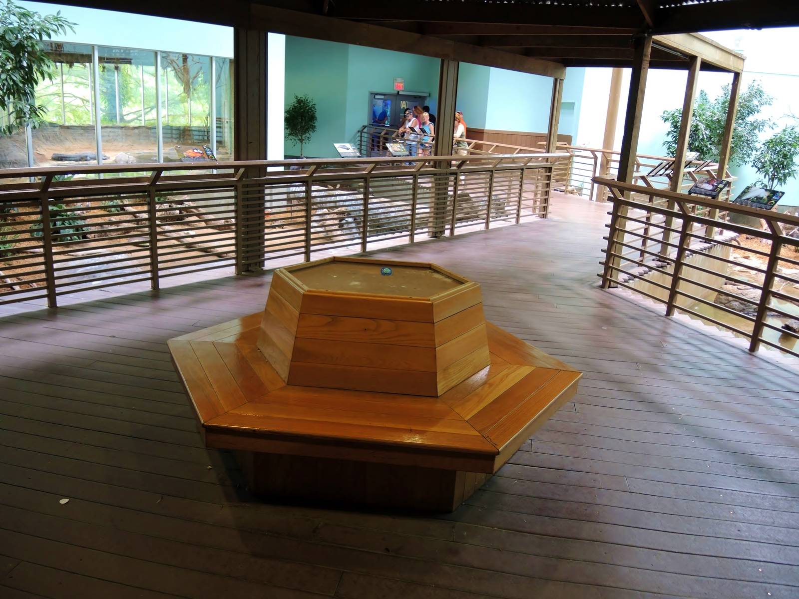 Wildlife Trek - Life in the Water