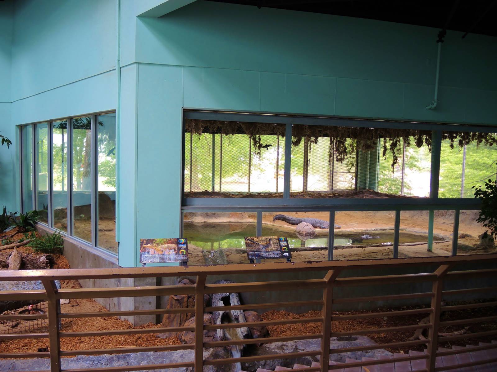 Wildlife Trek - Life in the Water