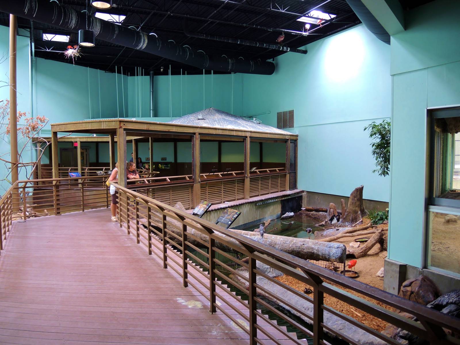 Wildlife Trek - Life in the Water