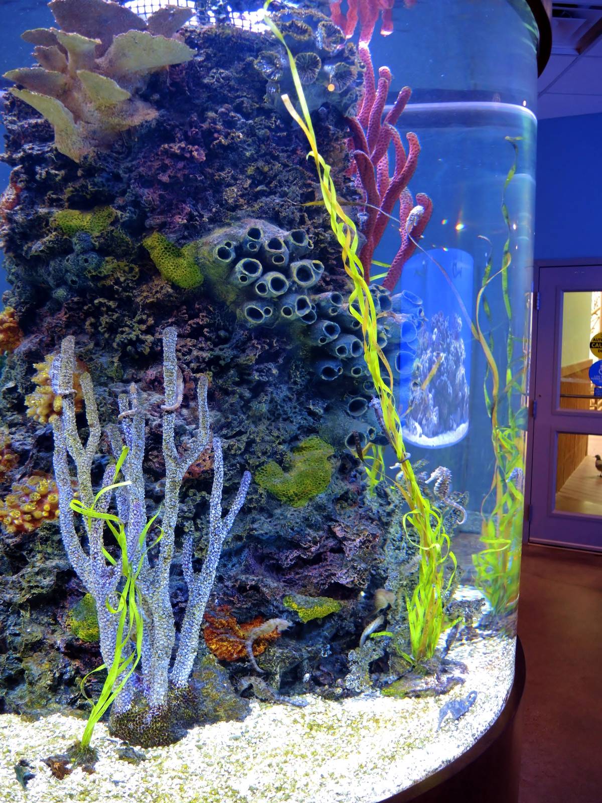 Wildlife Trek - Life in the Water