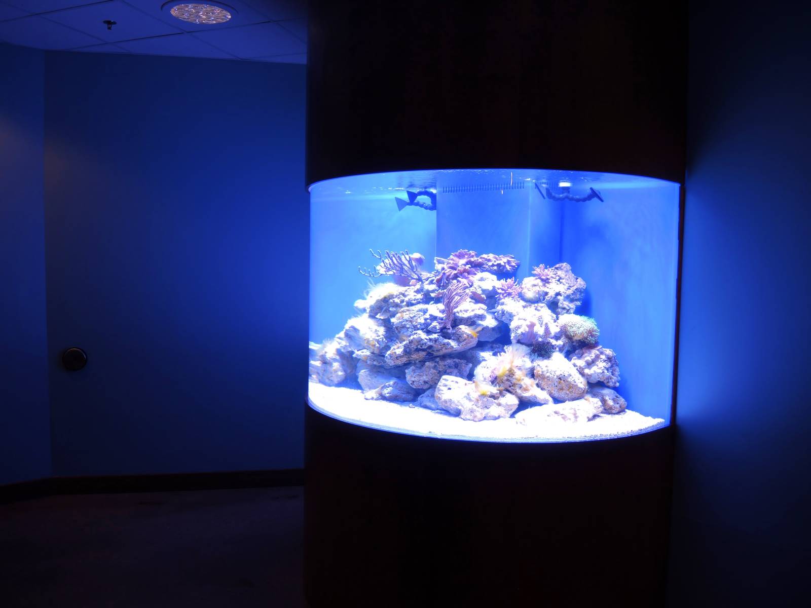 Wildlife Trek - Life in the Water