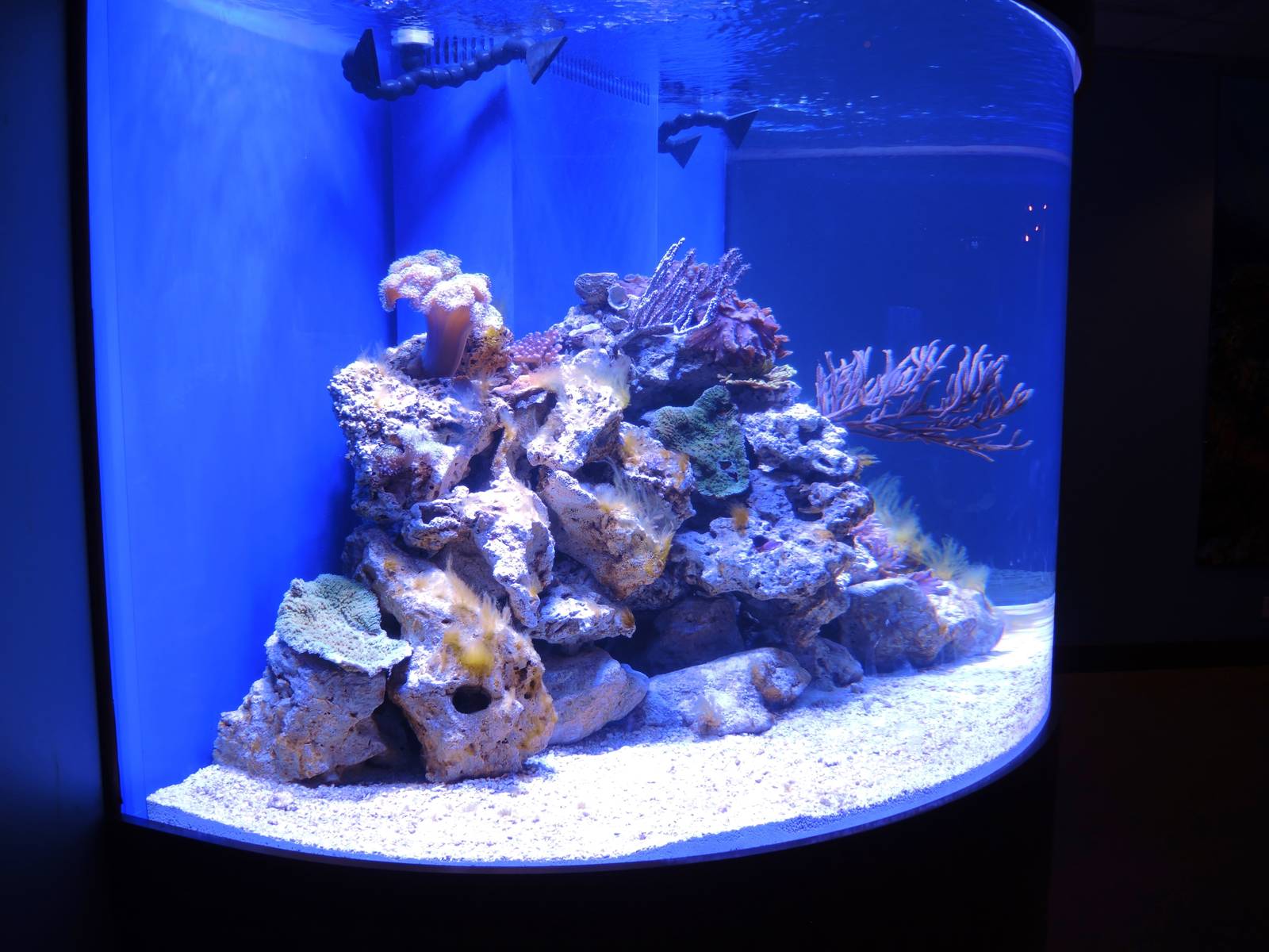 Wildlife Trek - Life in the Water