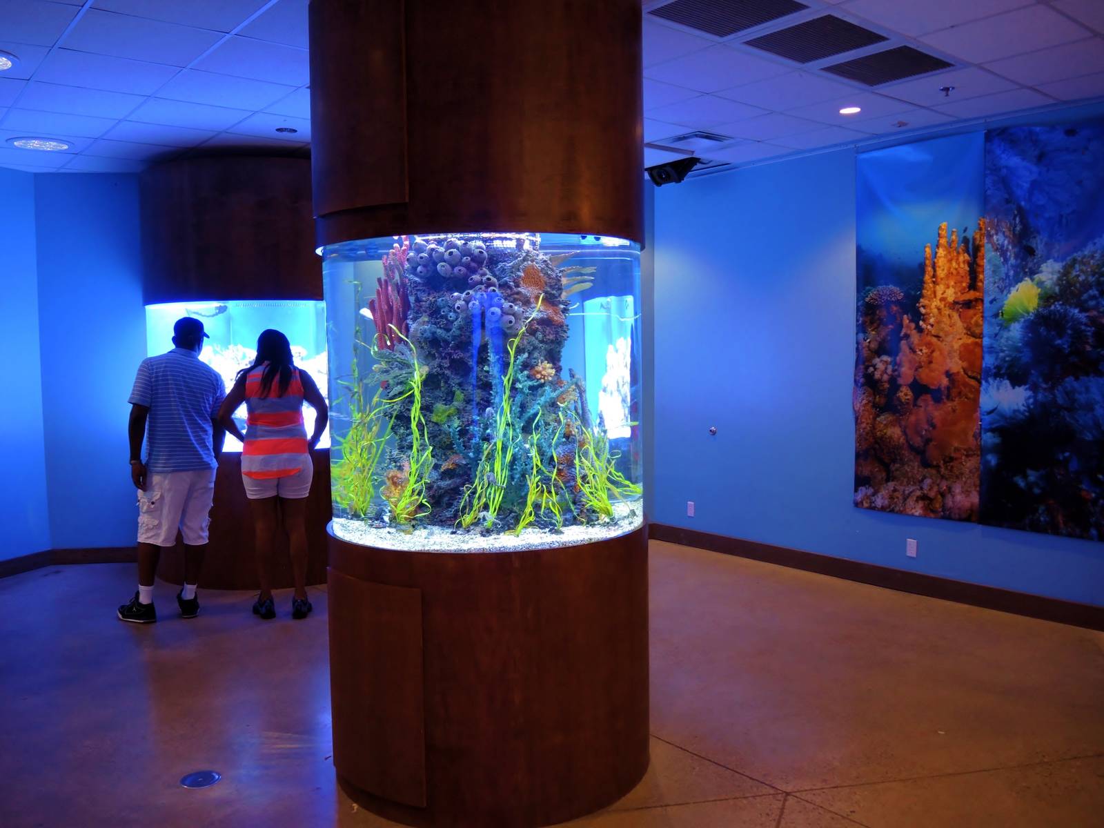 Wildlife Trek - Life in the Water