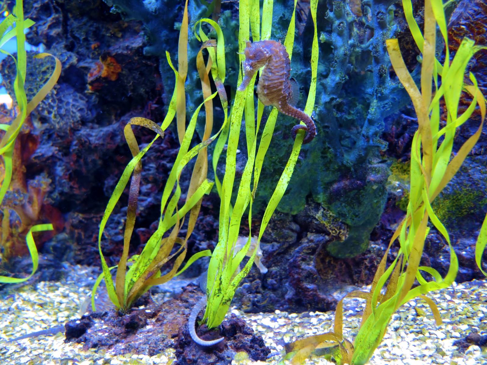 Wildlife Trek - Life in the Water