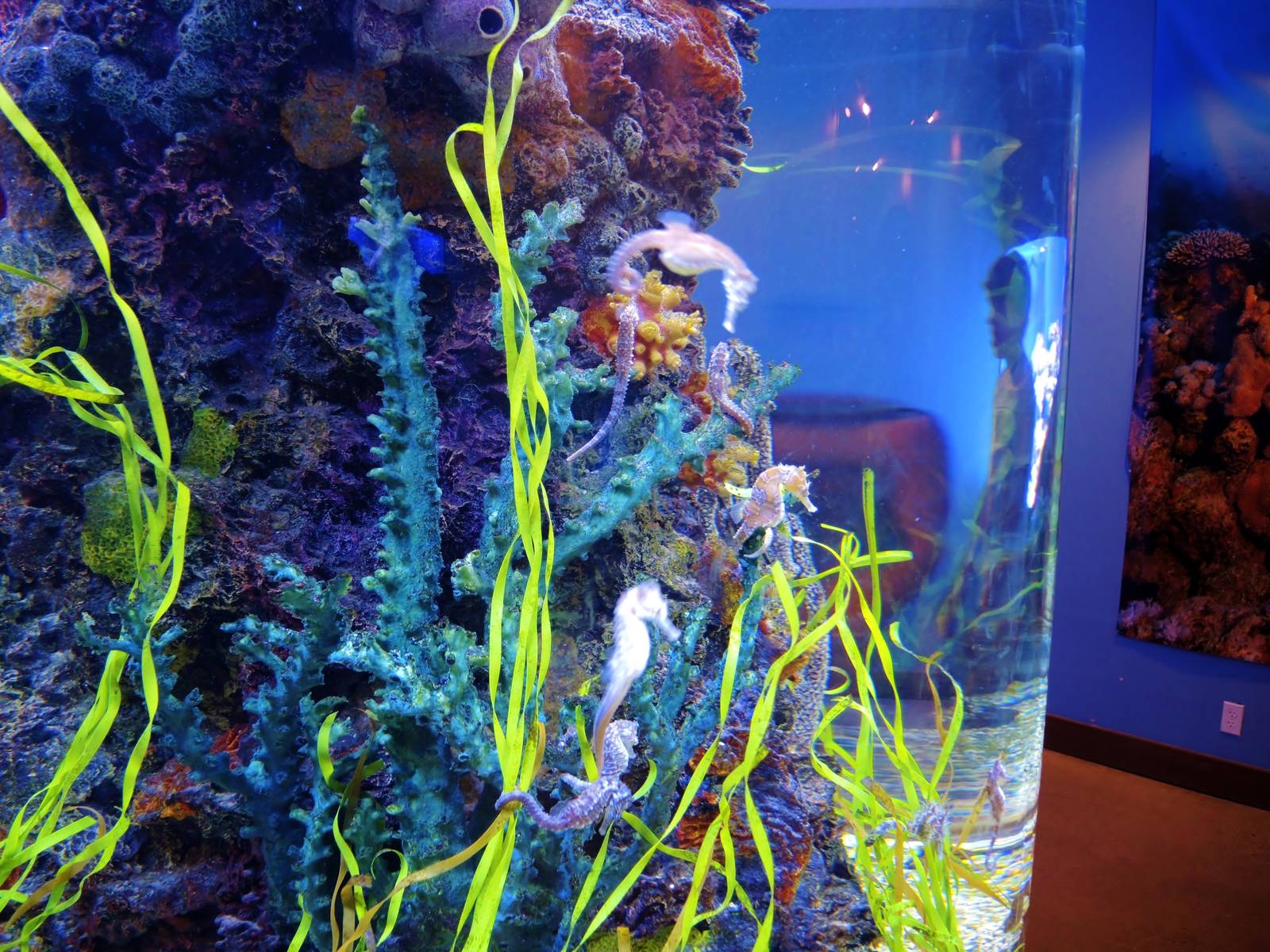 Wildlife Trek - Life in the Water