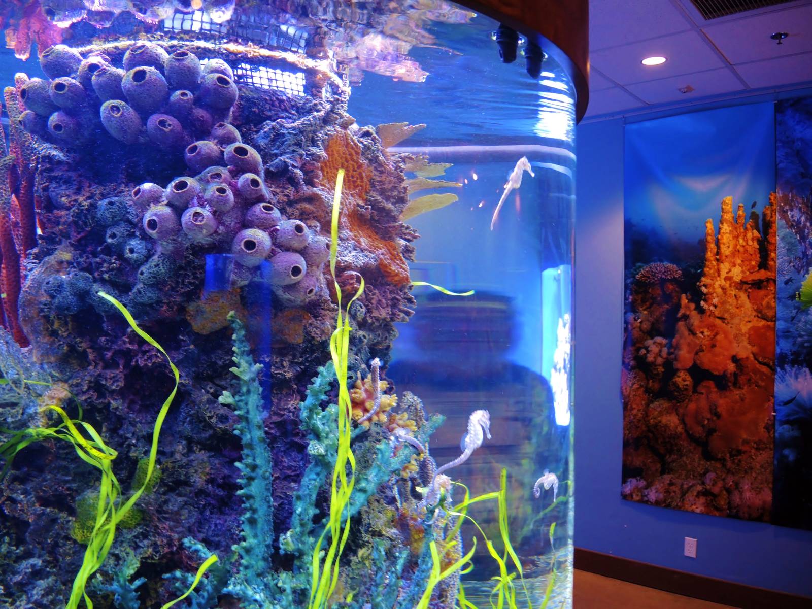 Wildlife Trek - Life in the Water