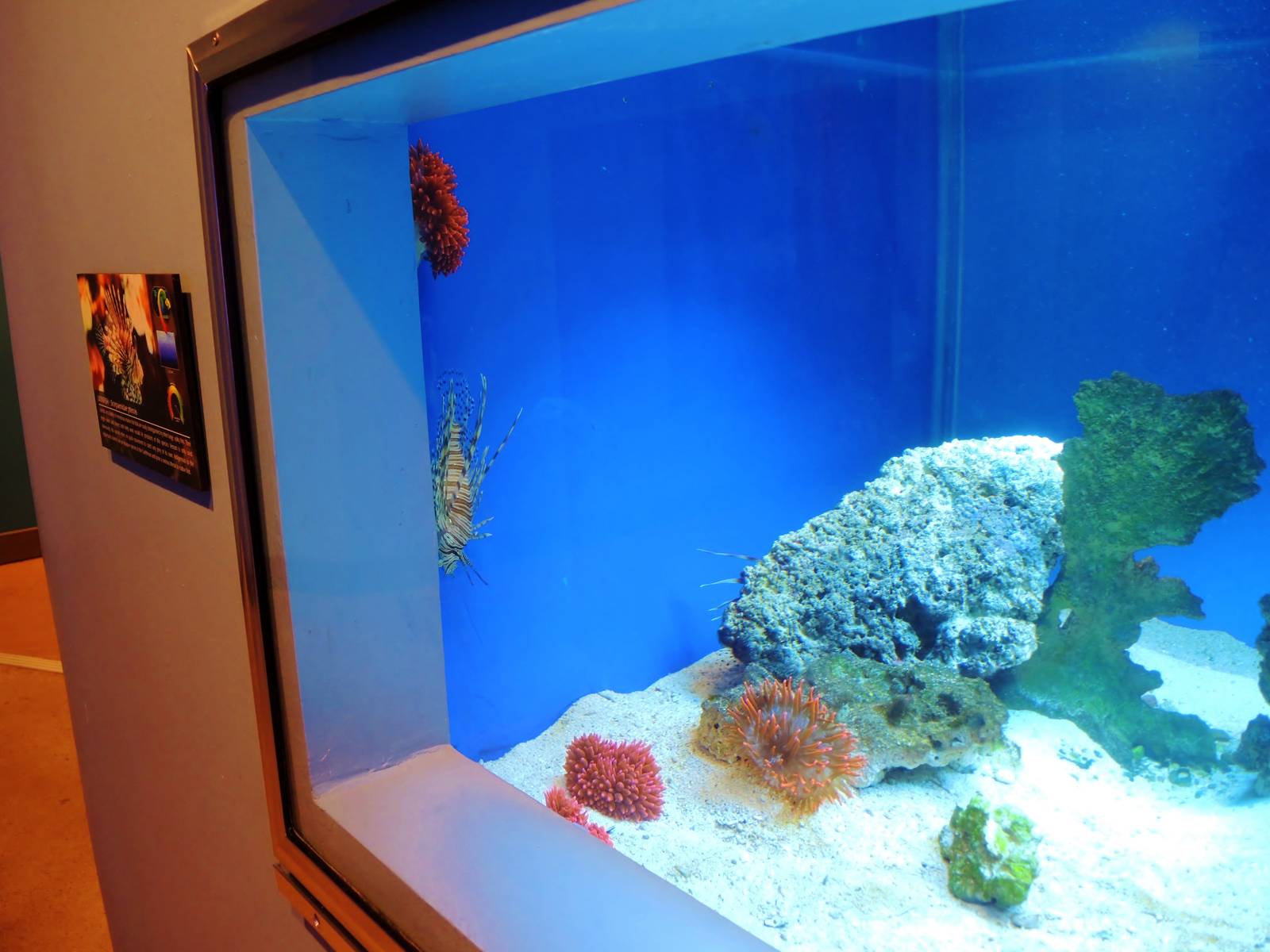 Wildlife Trek - Life in the Water