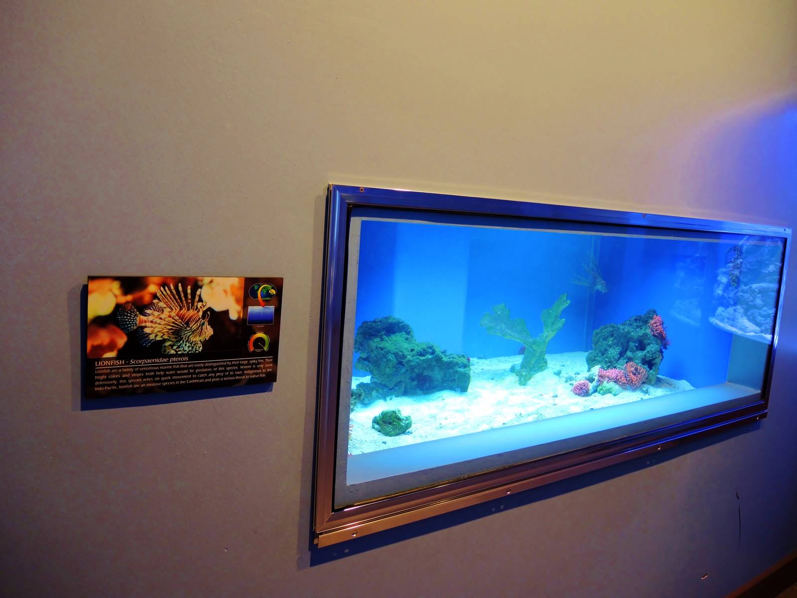 Wildlife Trek - Life in the Water