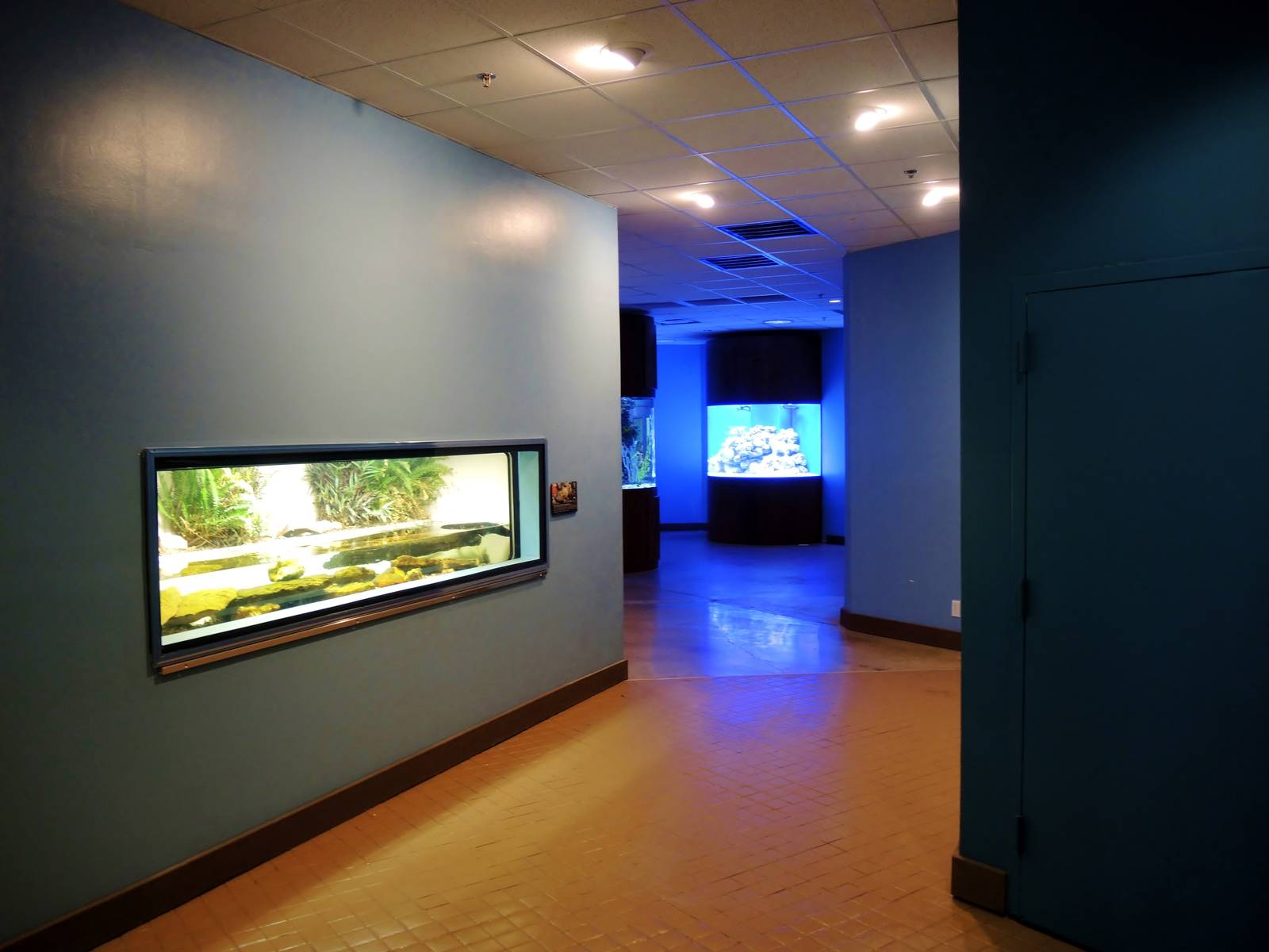 Wildlife Trek - Life in the Water