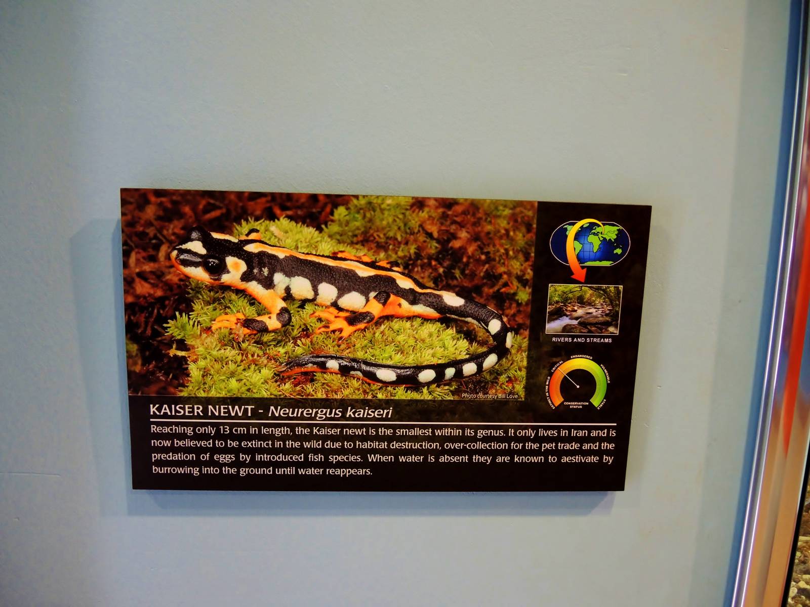 Wildlife Trek - Life in the Water