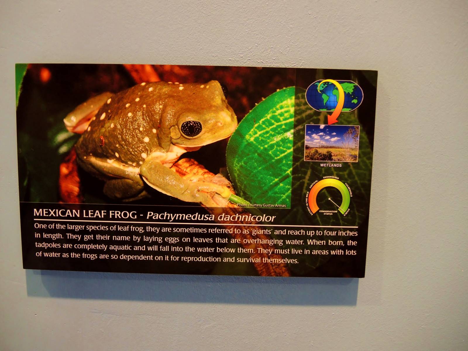 Wildlife Trek - Life in the Water