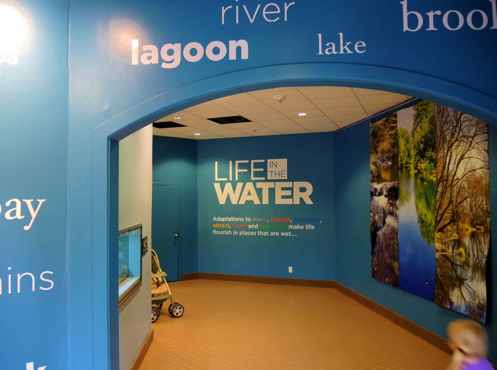 Wildlife Trek - Life in the Water