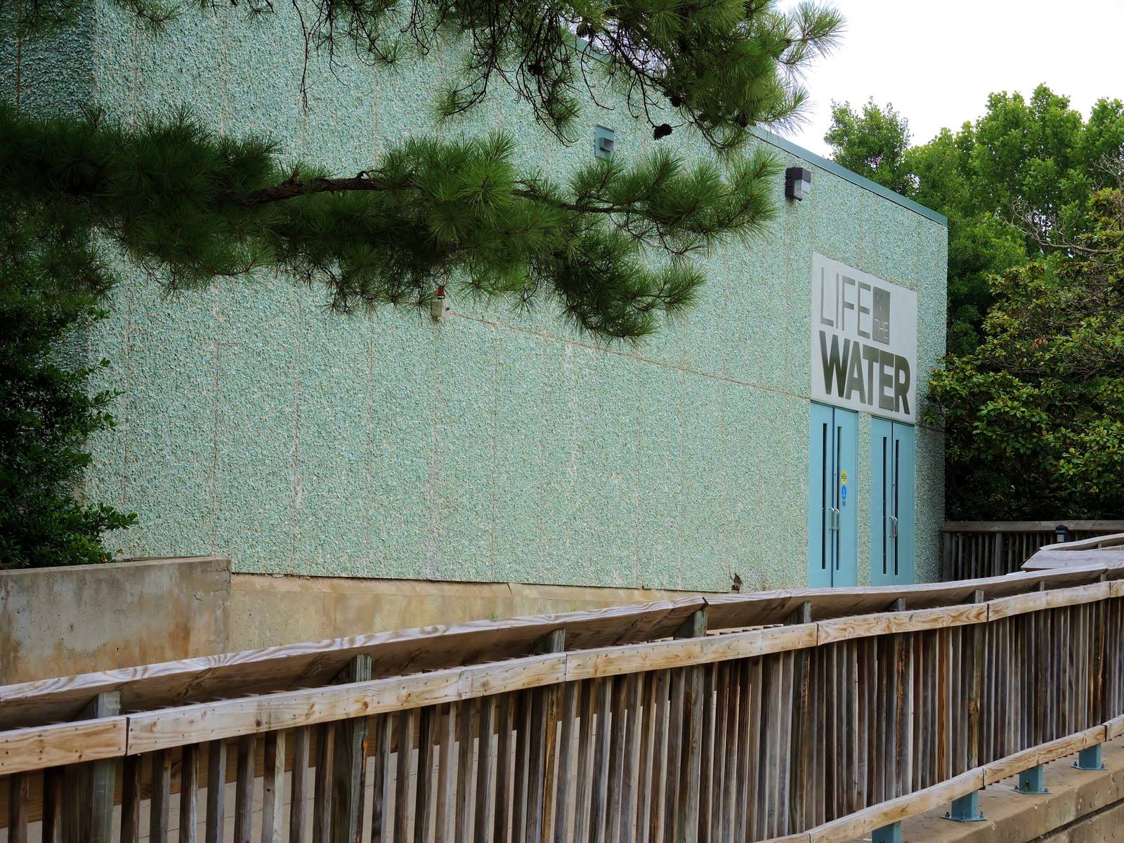 Wildlife Trek - Life in the Water