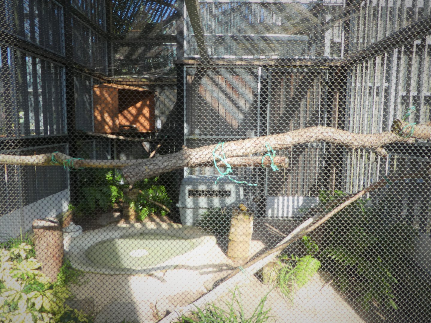 Wildlife Viewing Pavilion - Barred Owl Exhibit