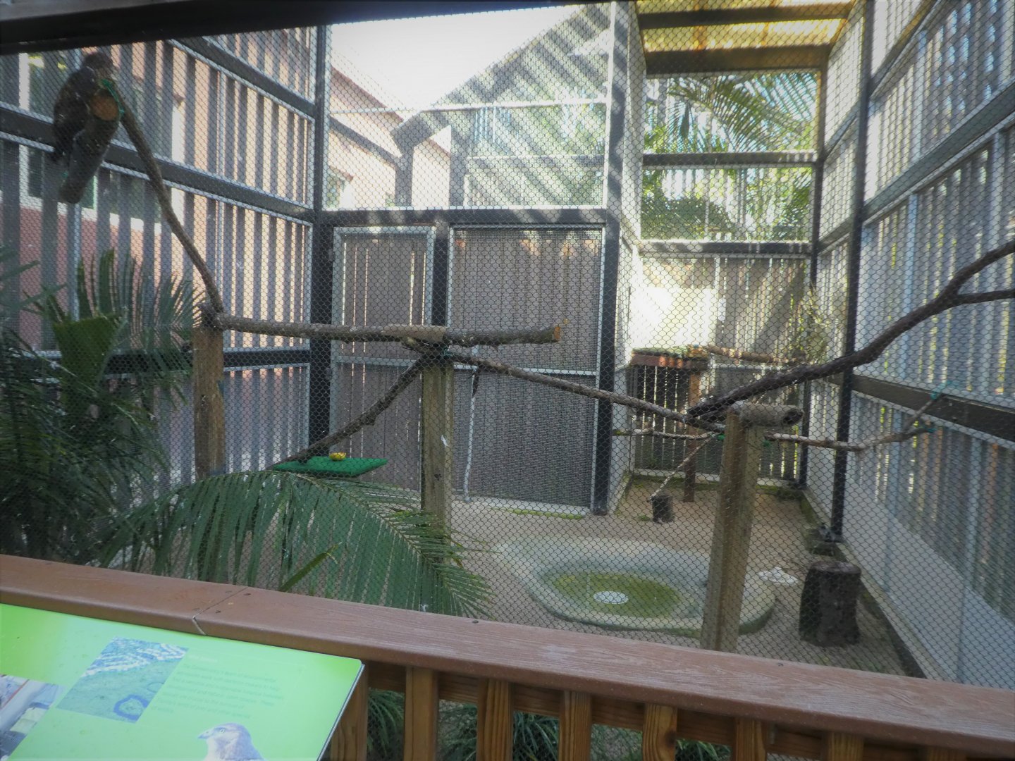 Wildlife Viewing Pavilion - Florida Red-tailed Hawk Exhibit
